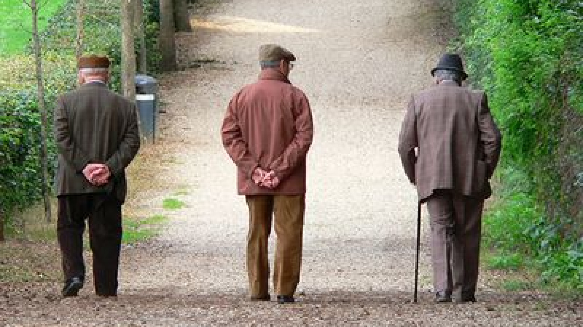 Pandemia e solitudine. Crescono i contatti del Centro ascolto anziani