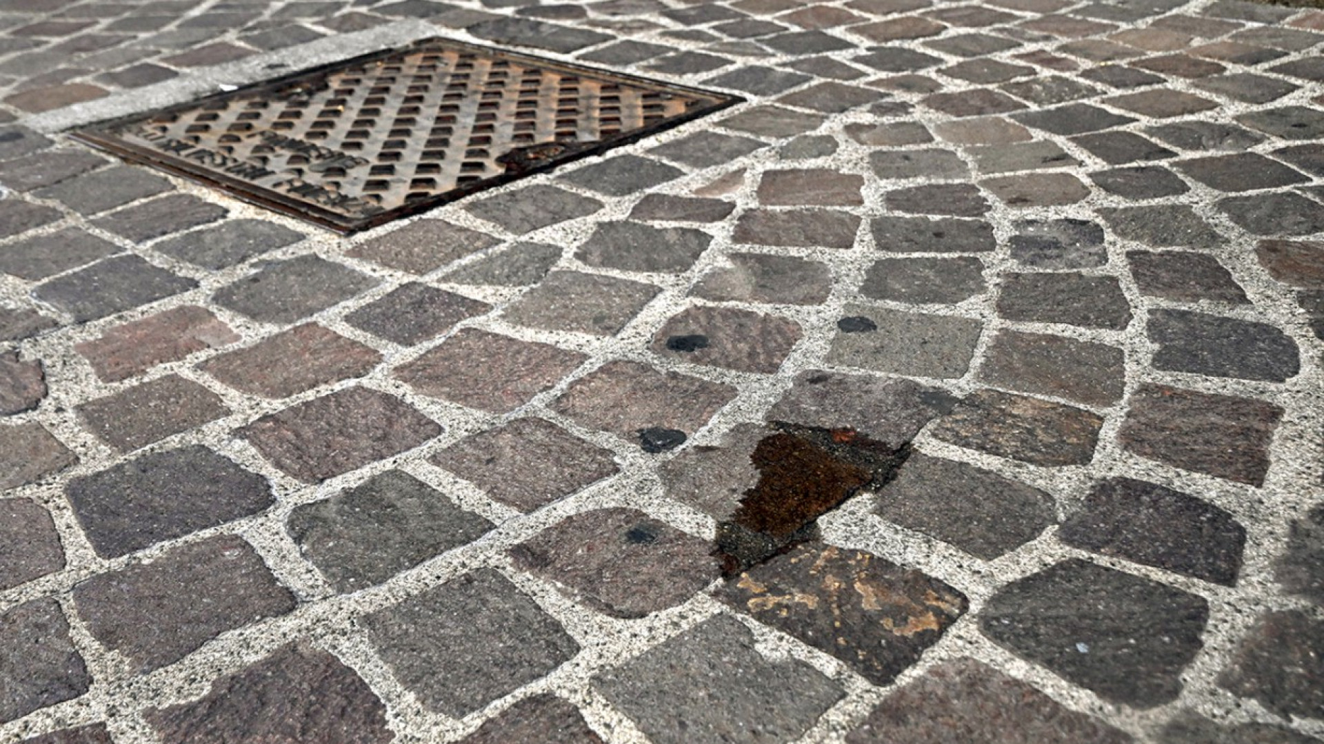 Olio sul porfido di via Sopramuro, i taxisti: "Colpa dei banchi del mercato"
