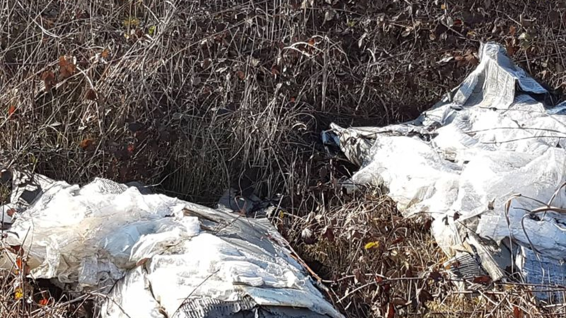 Fusti di plastica pieni di oli esausti e mobili abbandonati lungo il torrente Arda