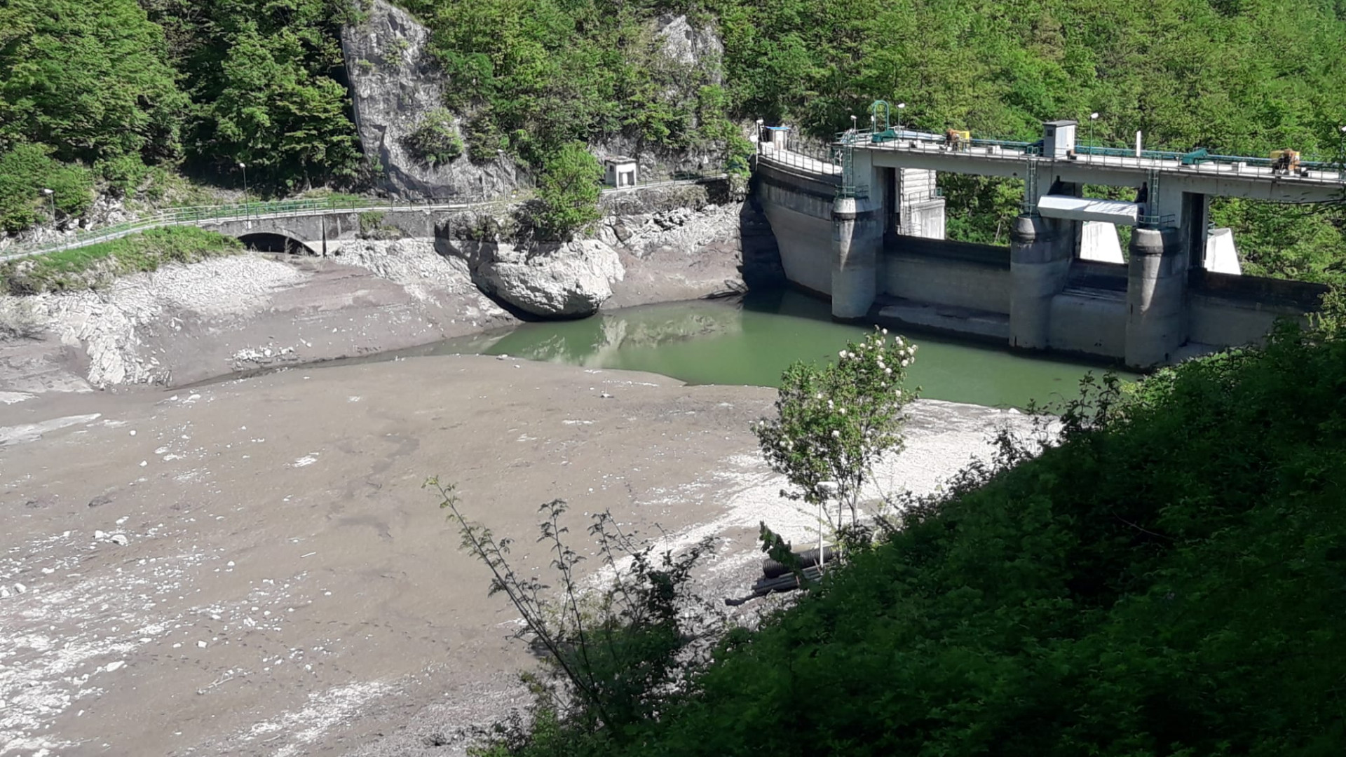 Boschi: "L'acqua del fiume che entra nella diga continua a trascinare a valle il fango"