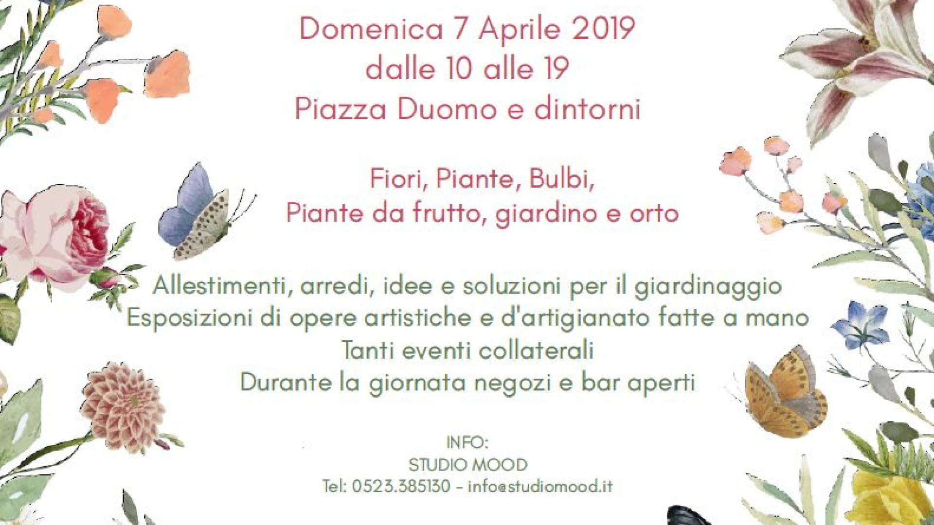 Piante e fiori in piazza Duomo. Controlli sanitari in piazza Cavalli