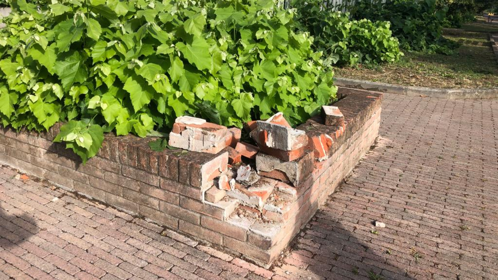 Vegetazione folta e buche nel terreno: "Verde trascurato nell’ex Unicem"