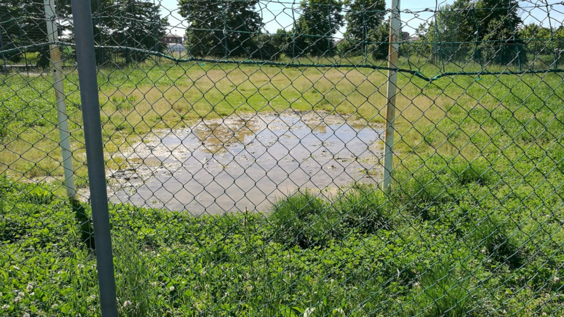 Non solo l'erba alta: degrado anche al parco della Baia del Re