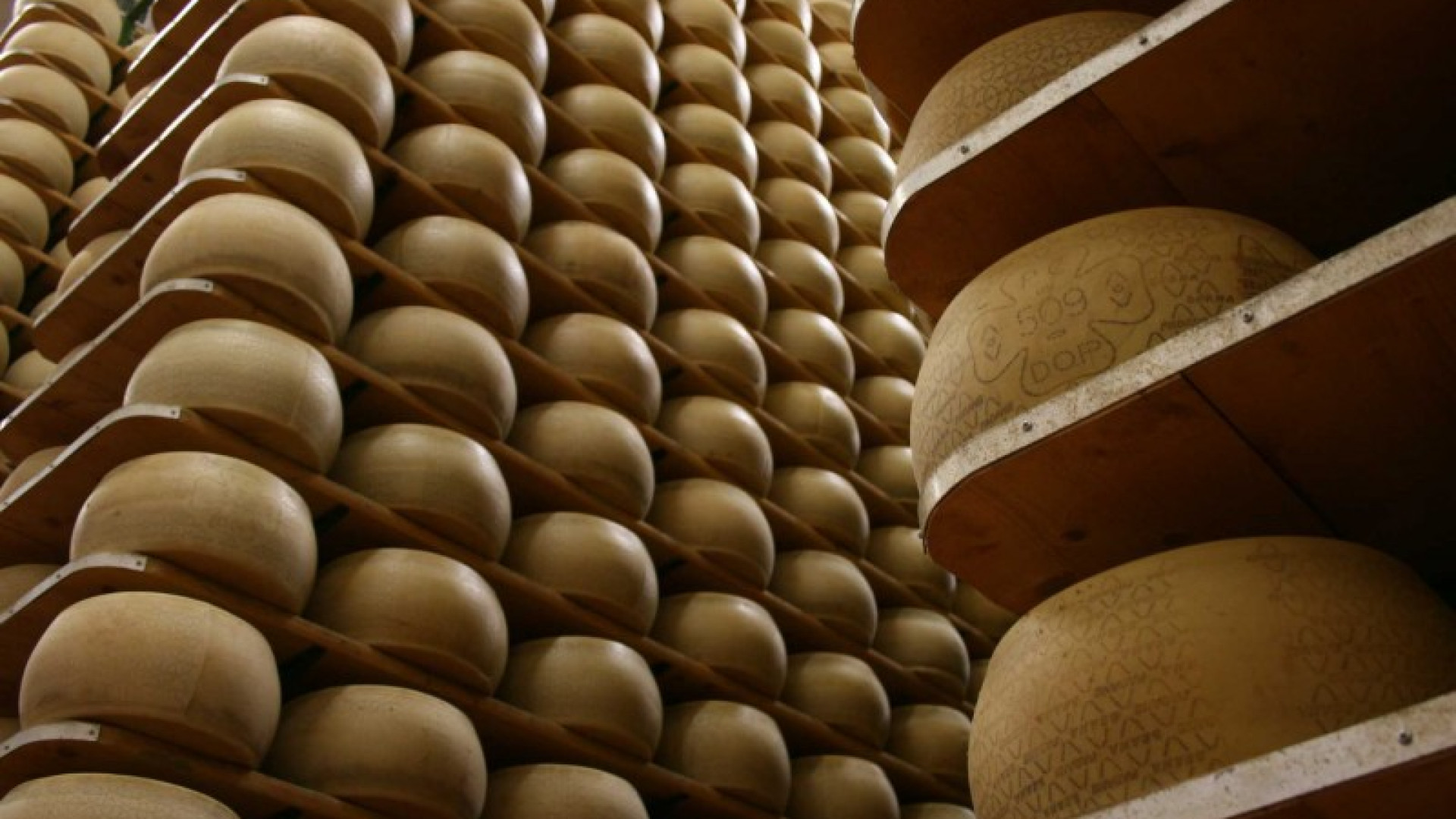 La nota del Consorzio: "Il Grana Padano in confezione è salubre e sicuro"