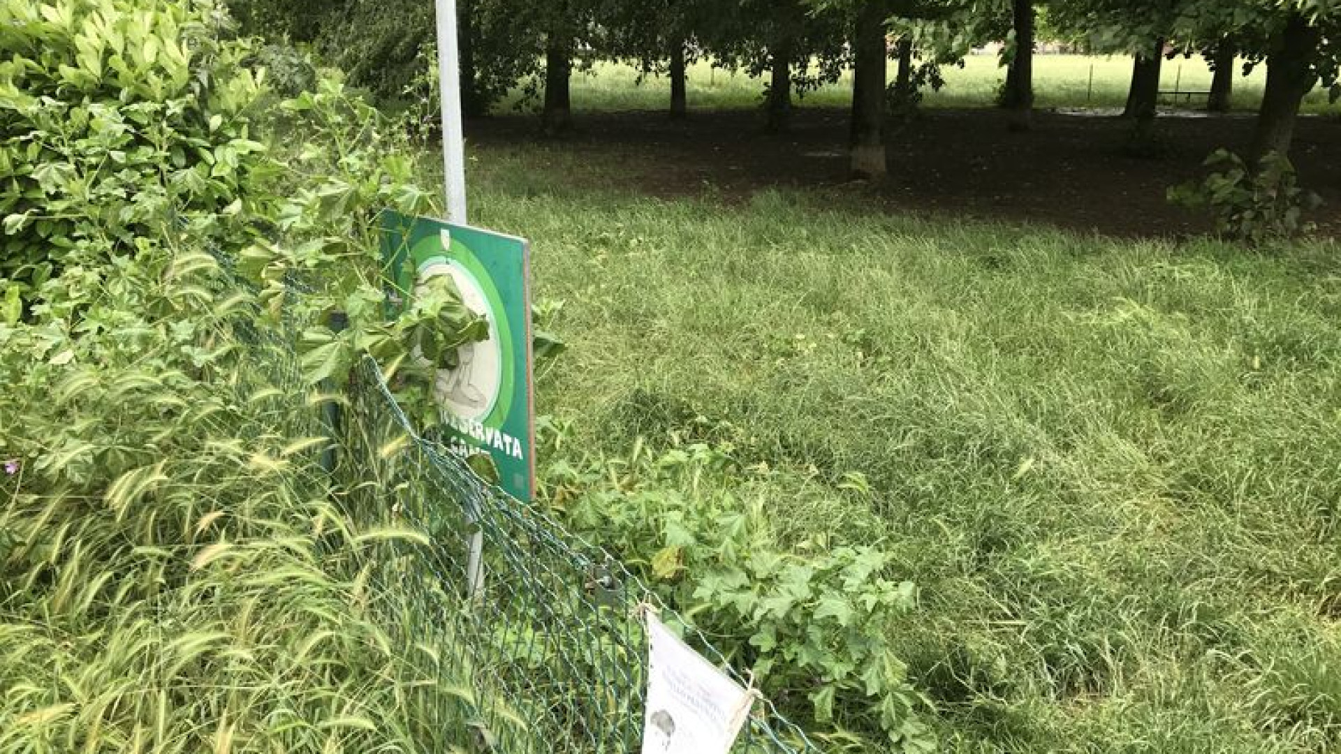 Bando del verde, sindacati preoccupati: "Esclude i fragili, scarsa attenzione"