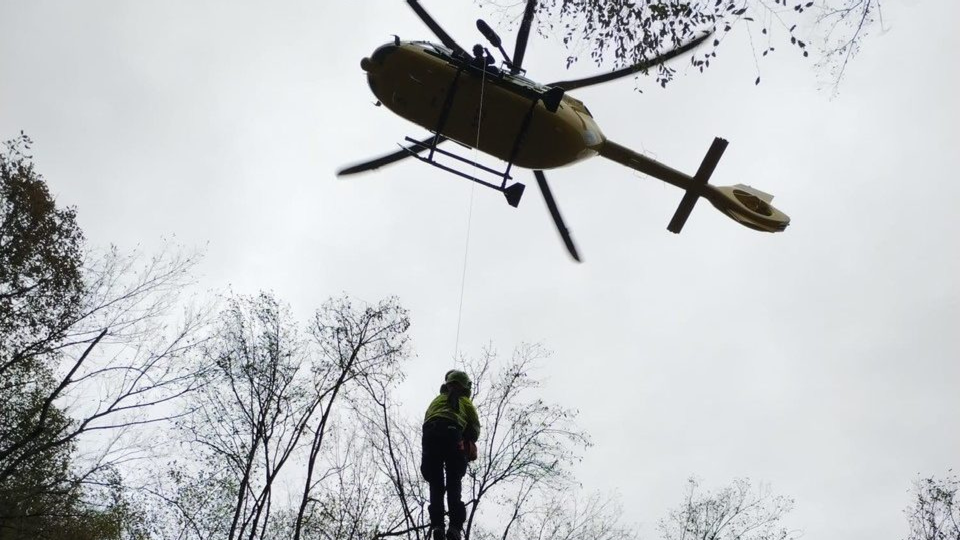 Trovato senza vita il fungaiolo disperso nei boschi di Corte Brugnatella