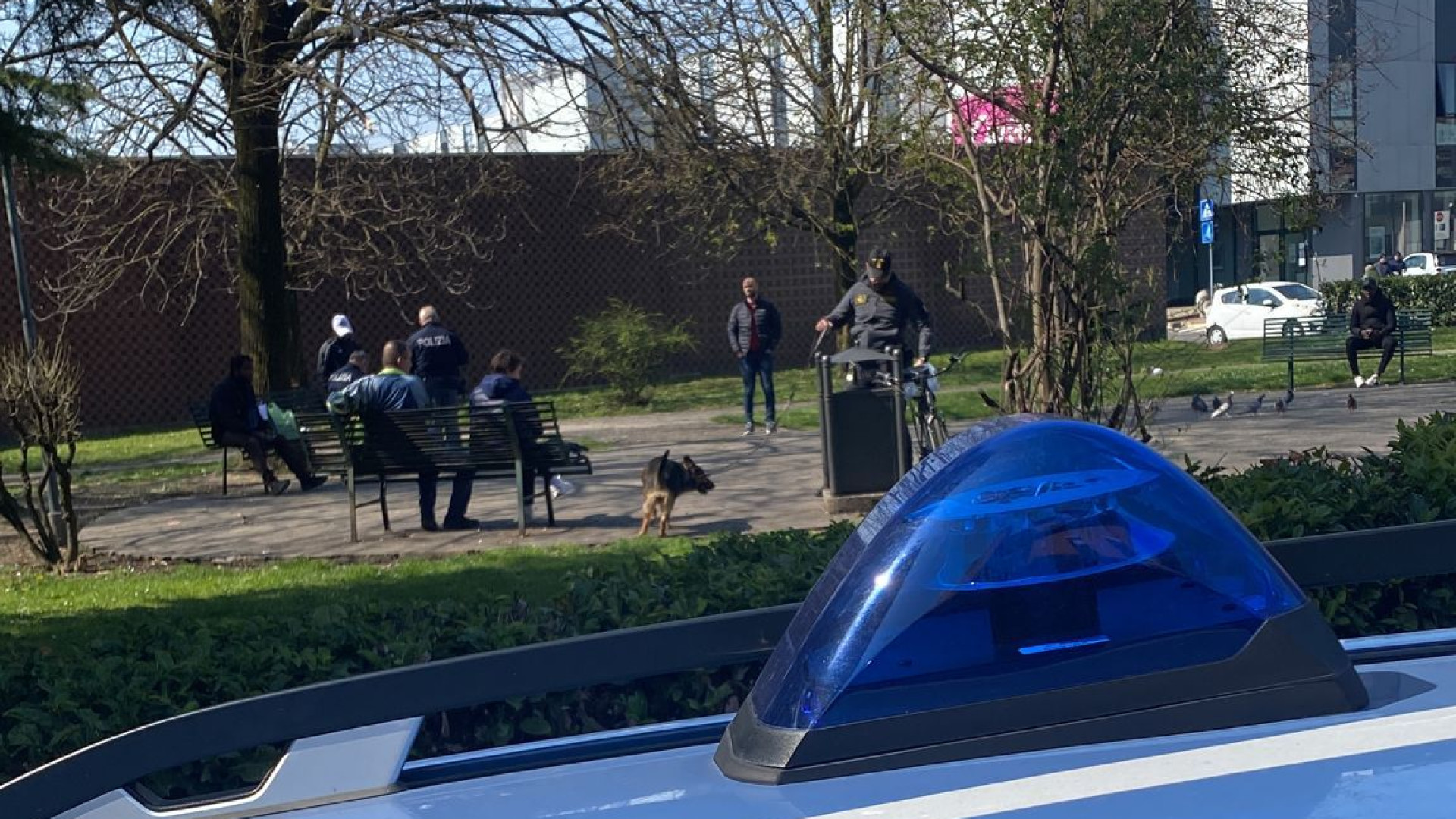 Farnesiana, dalla lite spunta un coltello. Marocchino denunciato, sarà rimpatriato
