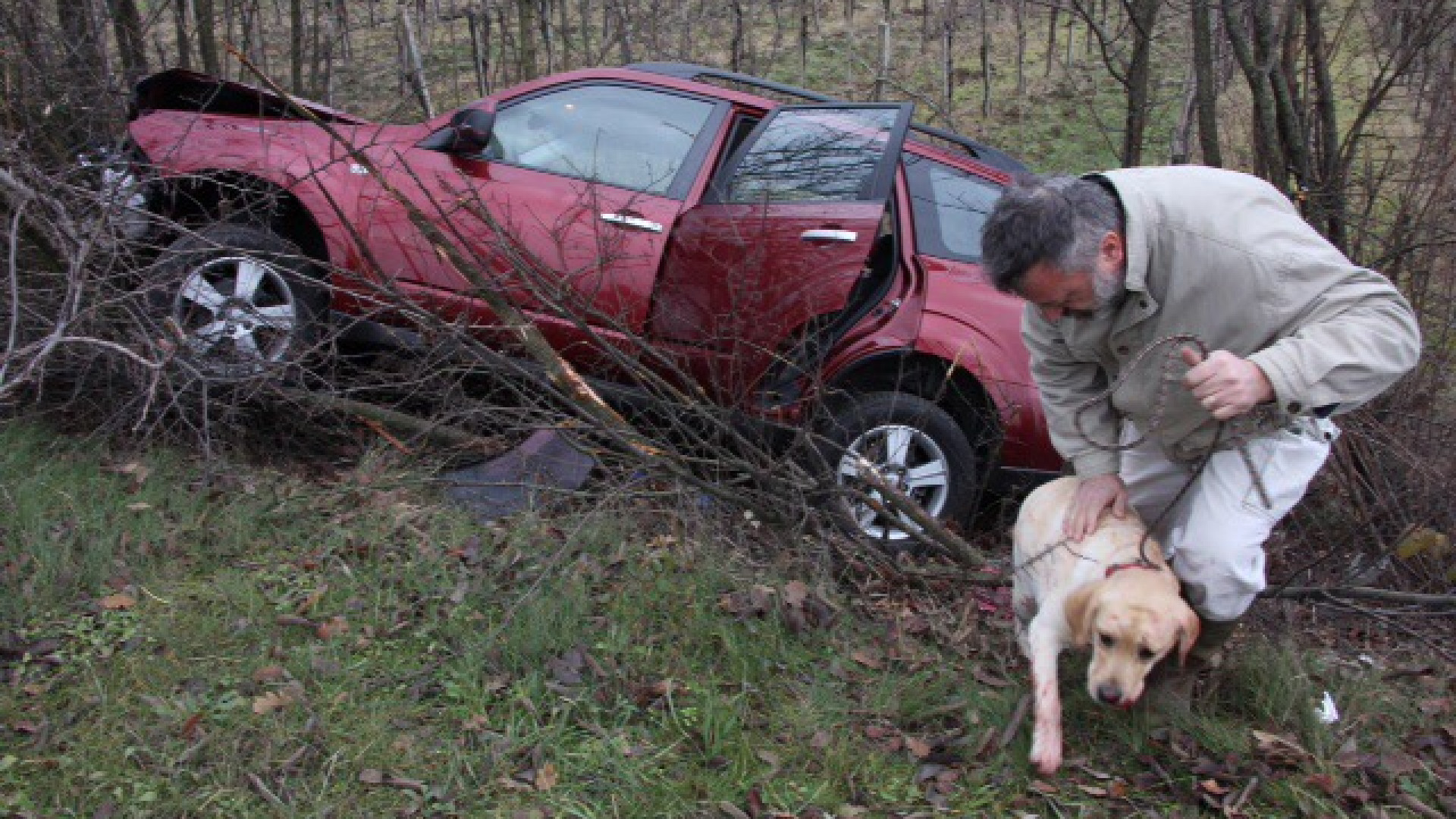 Nonna e nipote fuori strada in auto, il cane rimane incastrato tra le lamiere