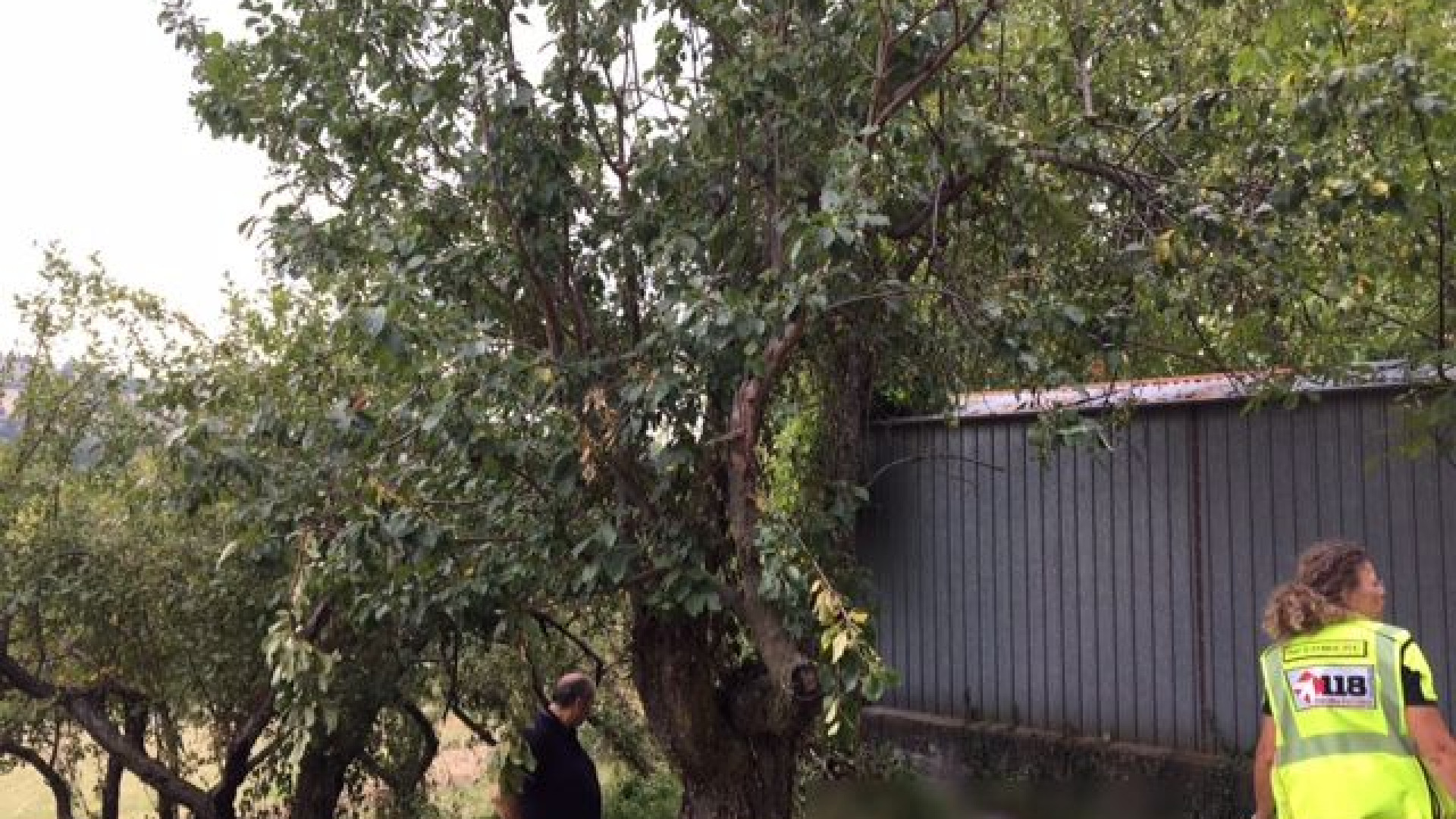 Cade da un albero, infilzato da un attrezzo agricolo: morto 75enne