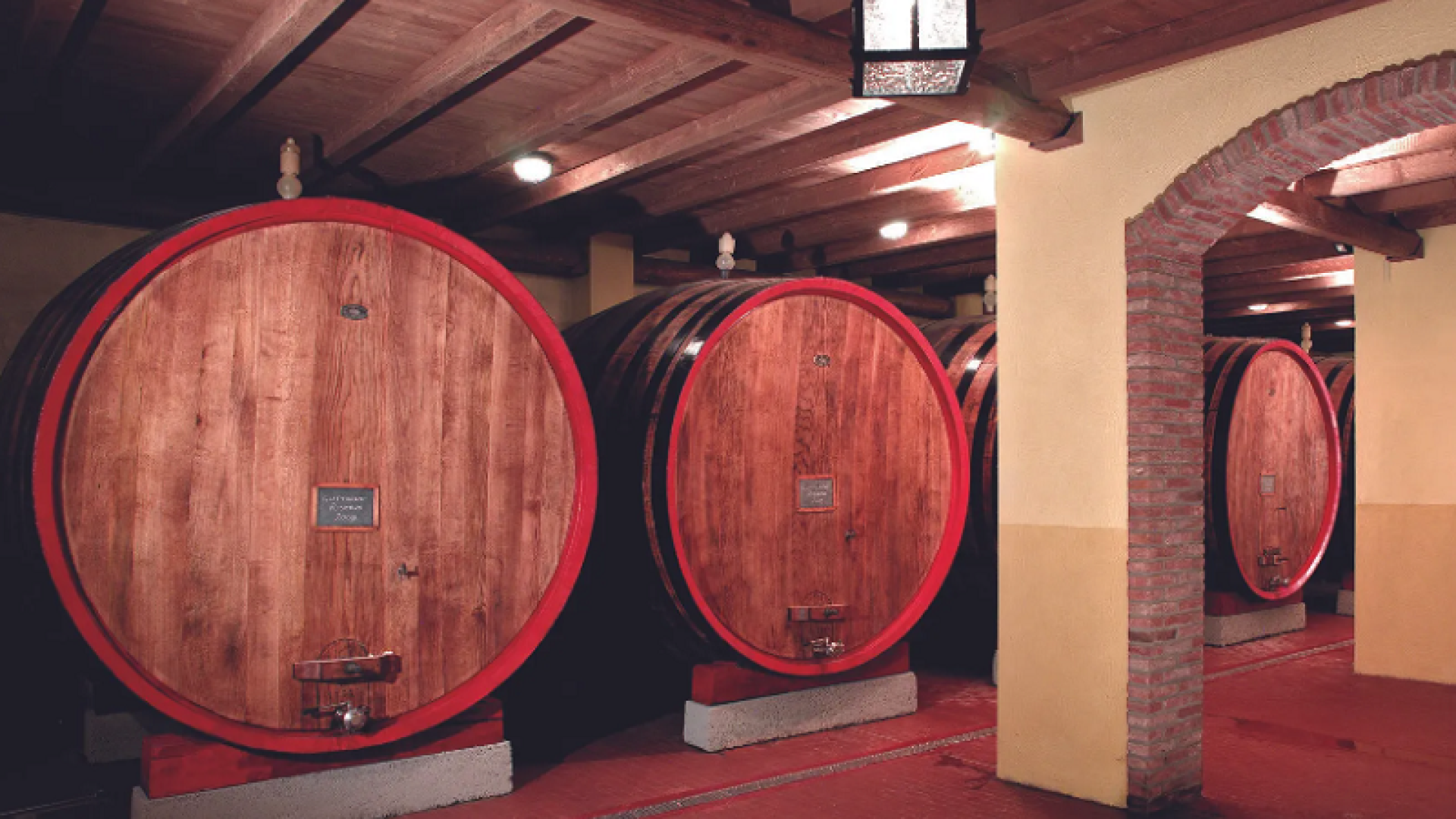 Cantina di Vicobarone, sfiduciato il presidente e nominato il nuovo direttivo