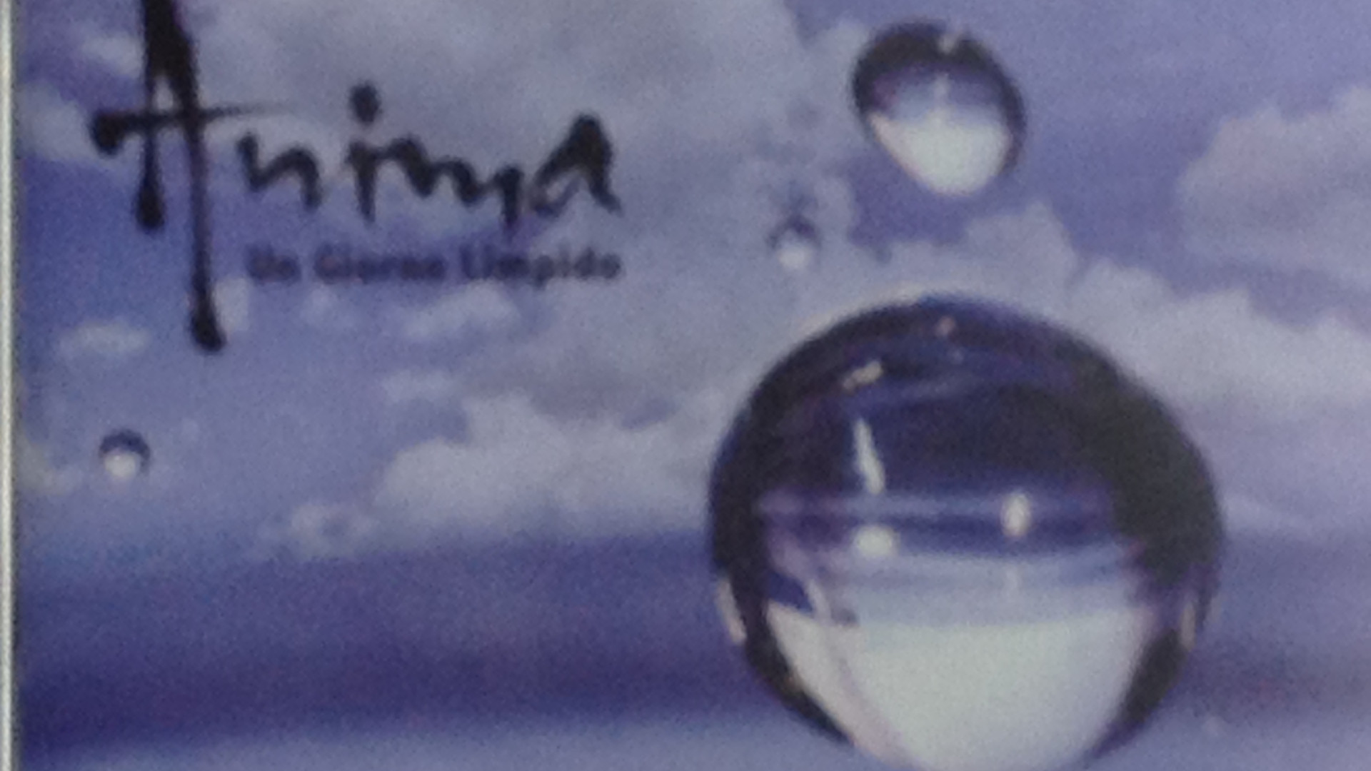 Gli "Anima" presentano il primo album: anteprima piacentina