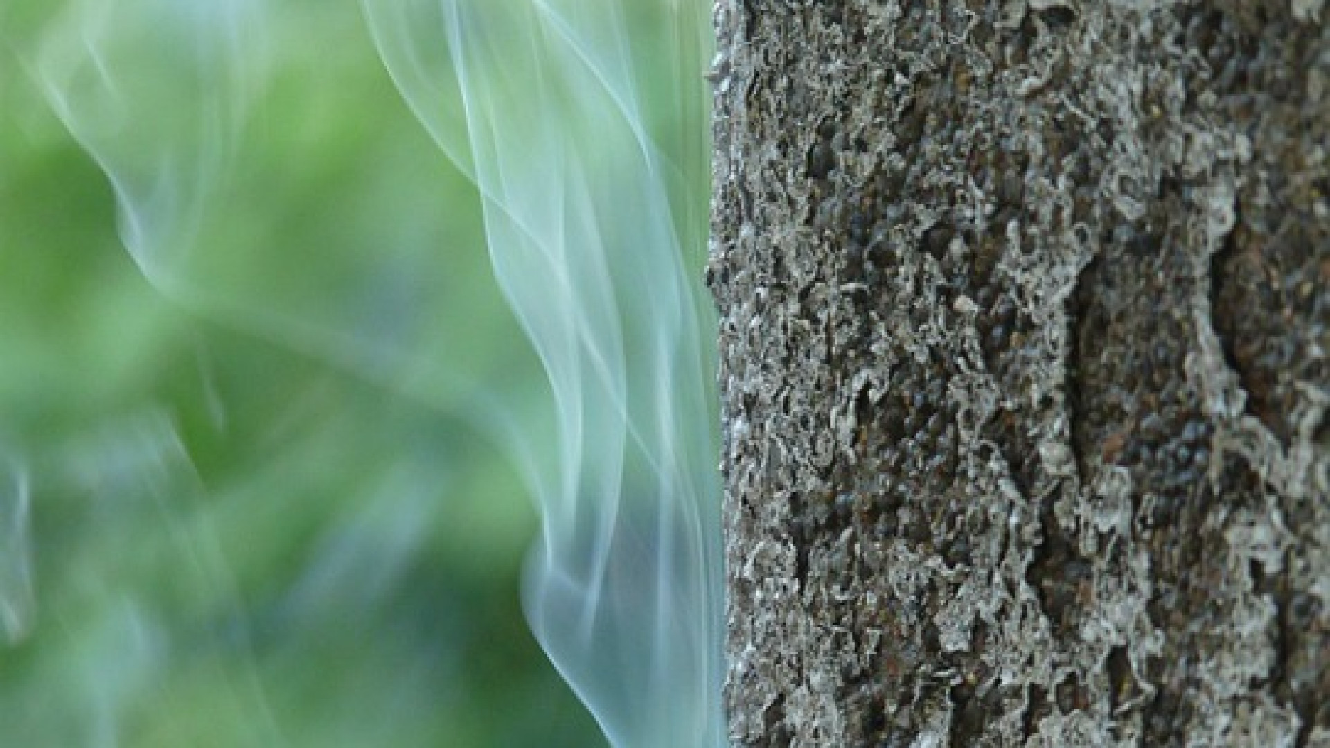 Castelvetro, auto urta un tubo e provoca una fuga di gas: il conducente non si ferma