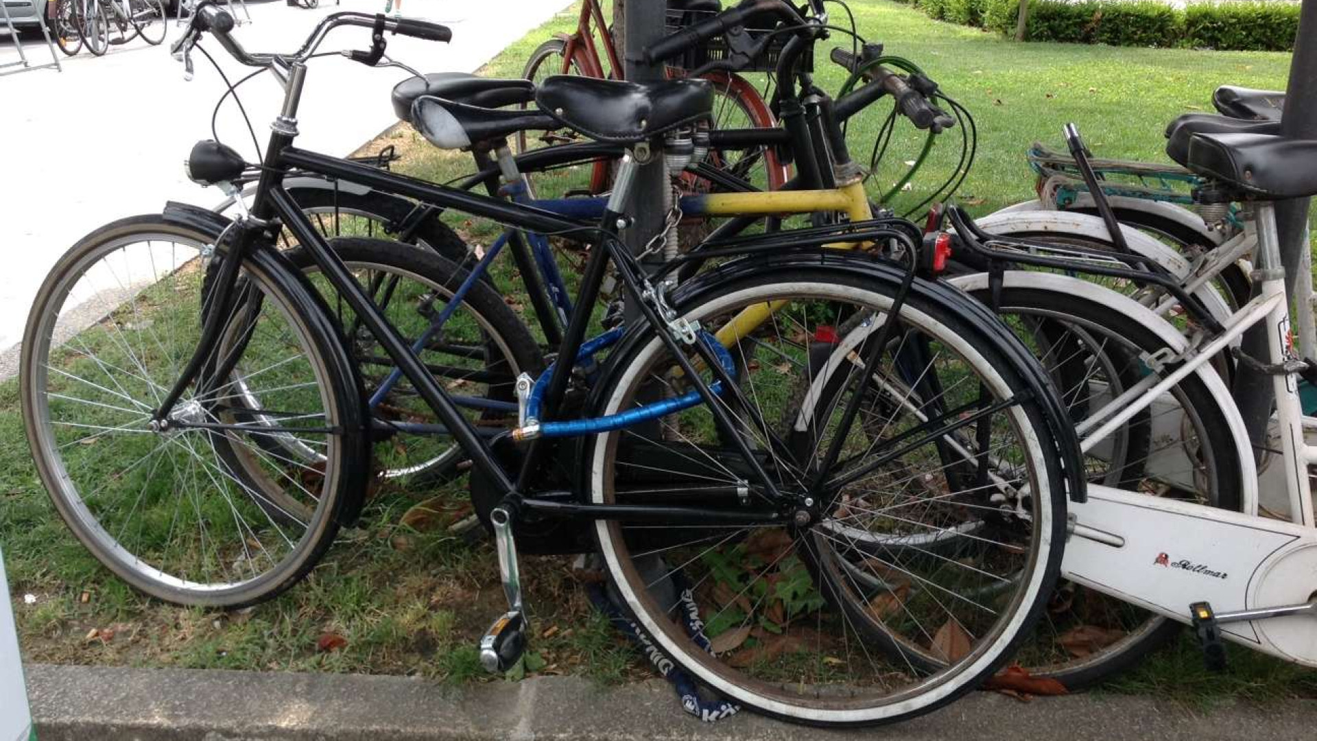 Razzia di bici in un palazzo di via Torricella, i residenti: "Zona invivibile"