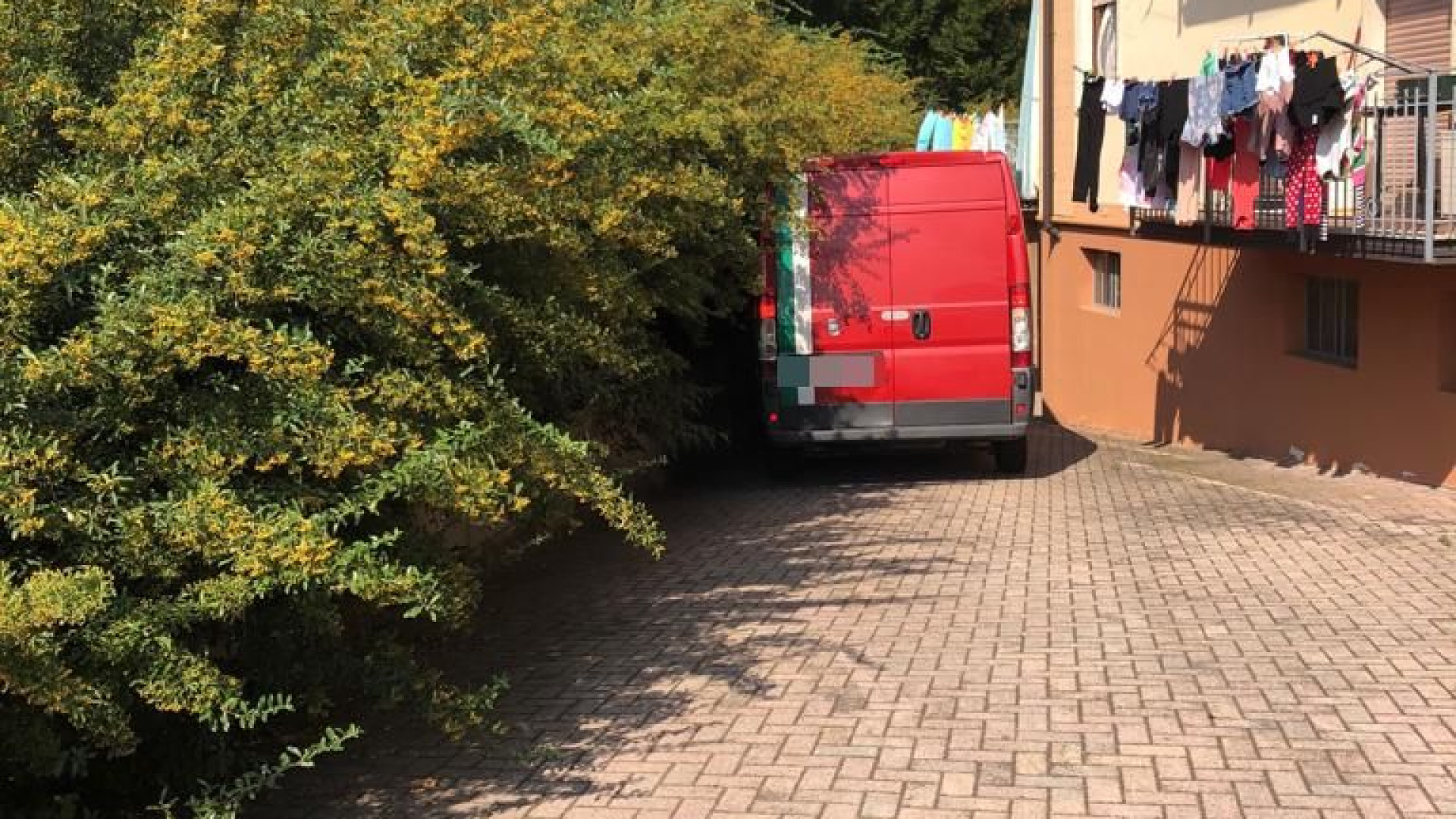Via Tansini, i residenti: "Alberi dei giardini invadono il cortile condominiale"