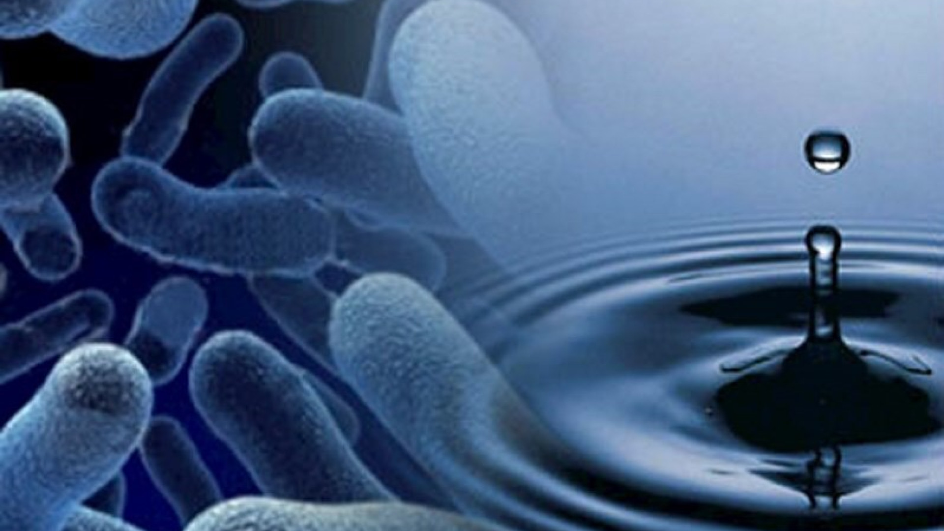 Legionella: a Piacenza oltre cinquanta casi in meno di due anni