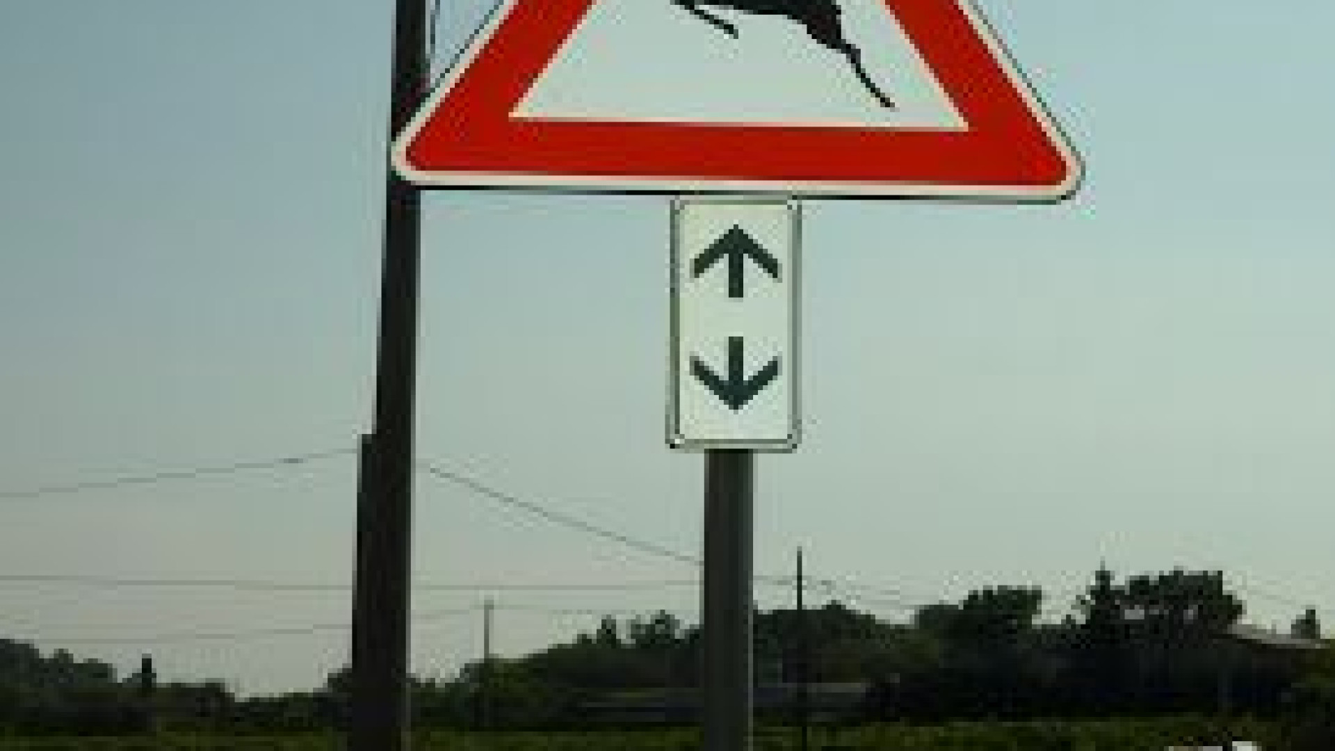 Incidenti con animali, 400 casi all'anno. Rimborso a due condizioni