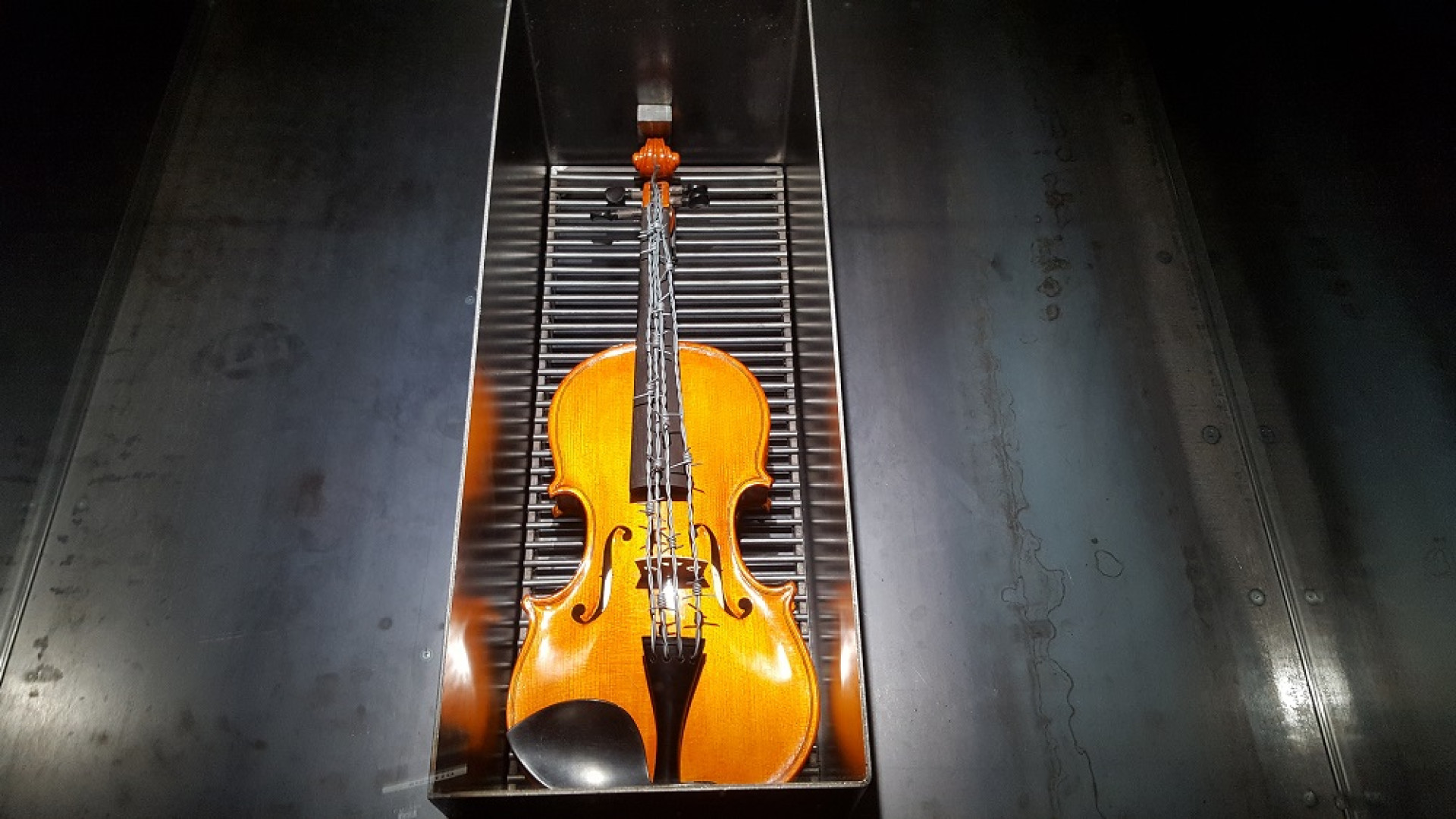 Il violino con il filo spinato di Kounellis: si è aperta la mostra-evento
