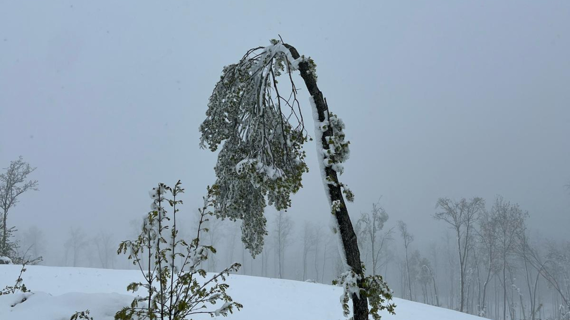 Maltempo: sulle alture 30 centimetri di neve e pioggia in pianura, resta l'allerta