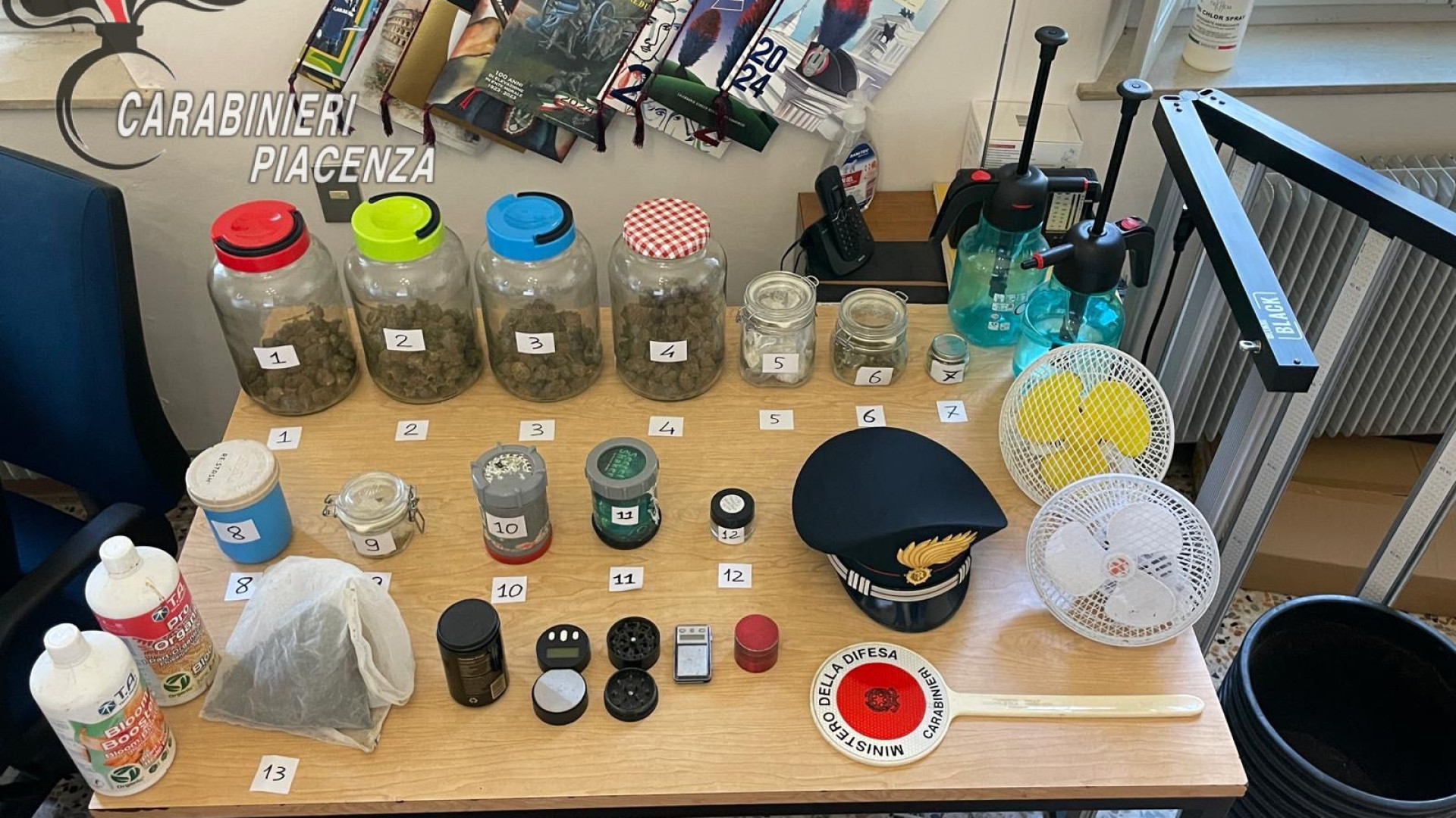 Cortemaggiore, marijuana fai da te in mansarda: 26enne arrestato dai carabinieri