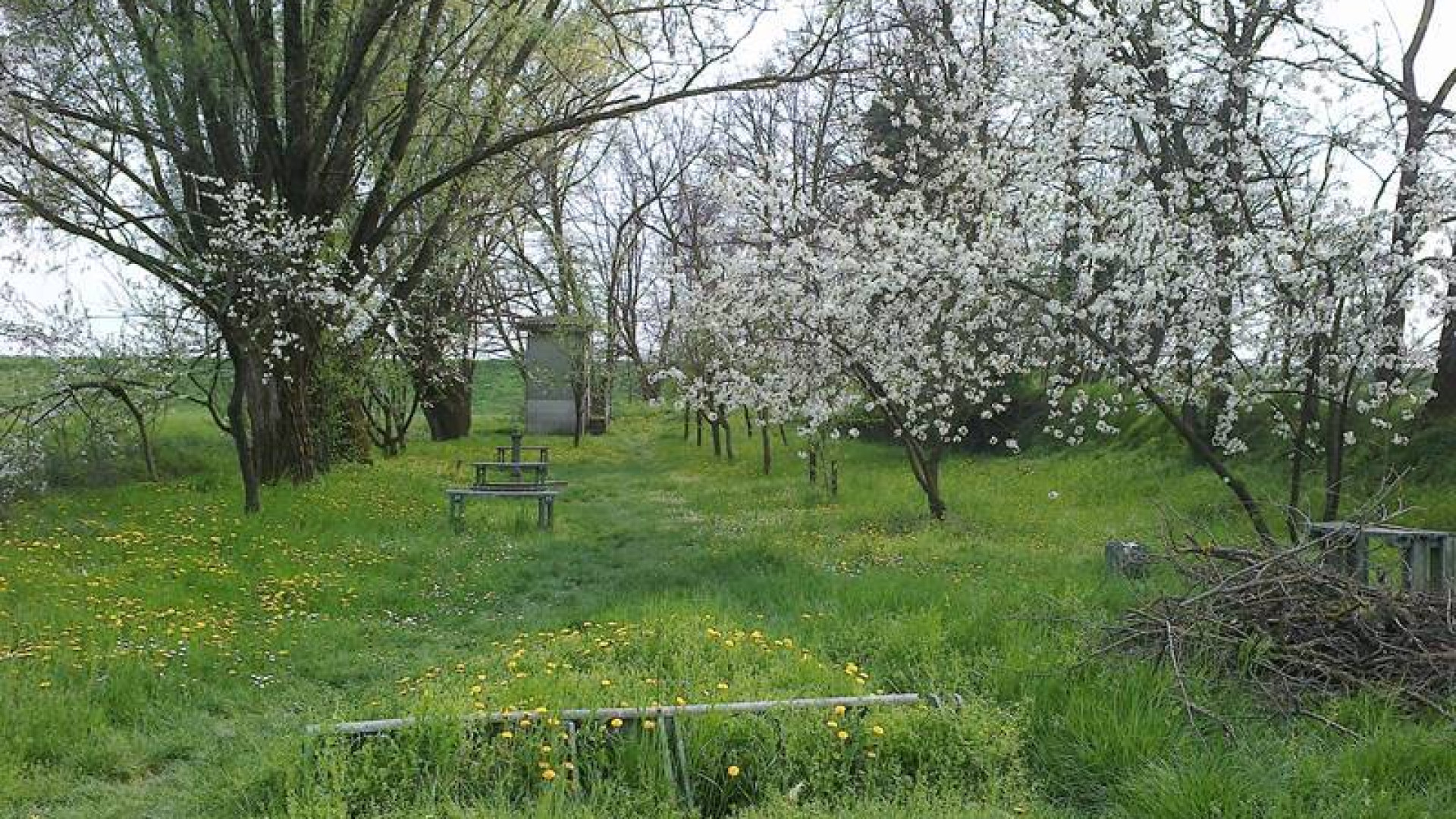Parco del Trebbia: domenica 21 si inaugura la ciclovia