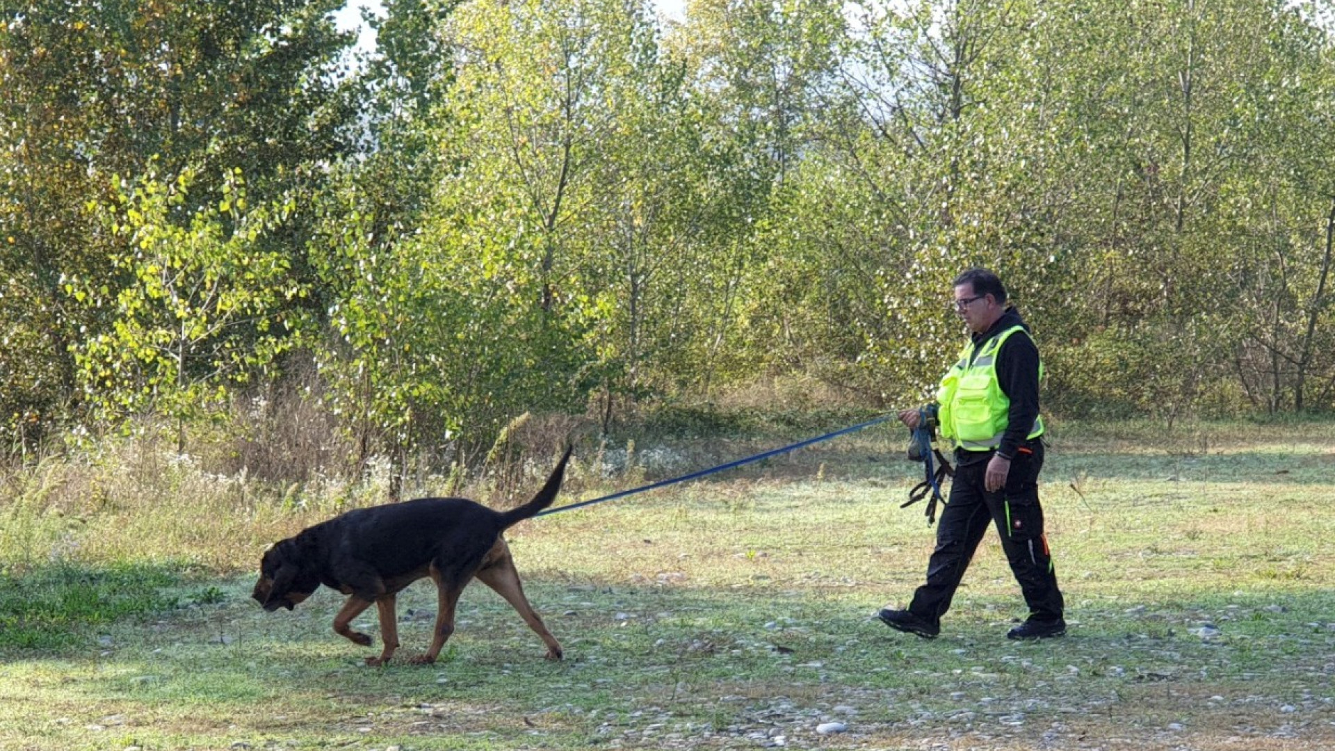 Persone scomparse, a Piacenza 39 casi quest'anno. Via libera al piano di ricerca