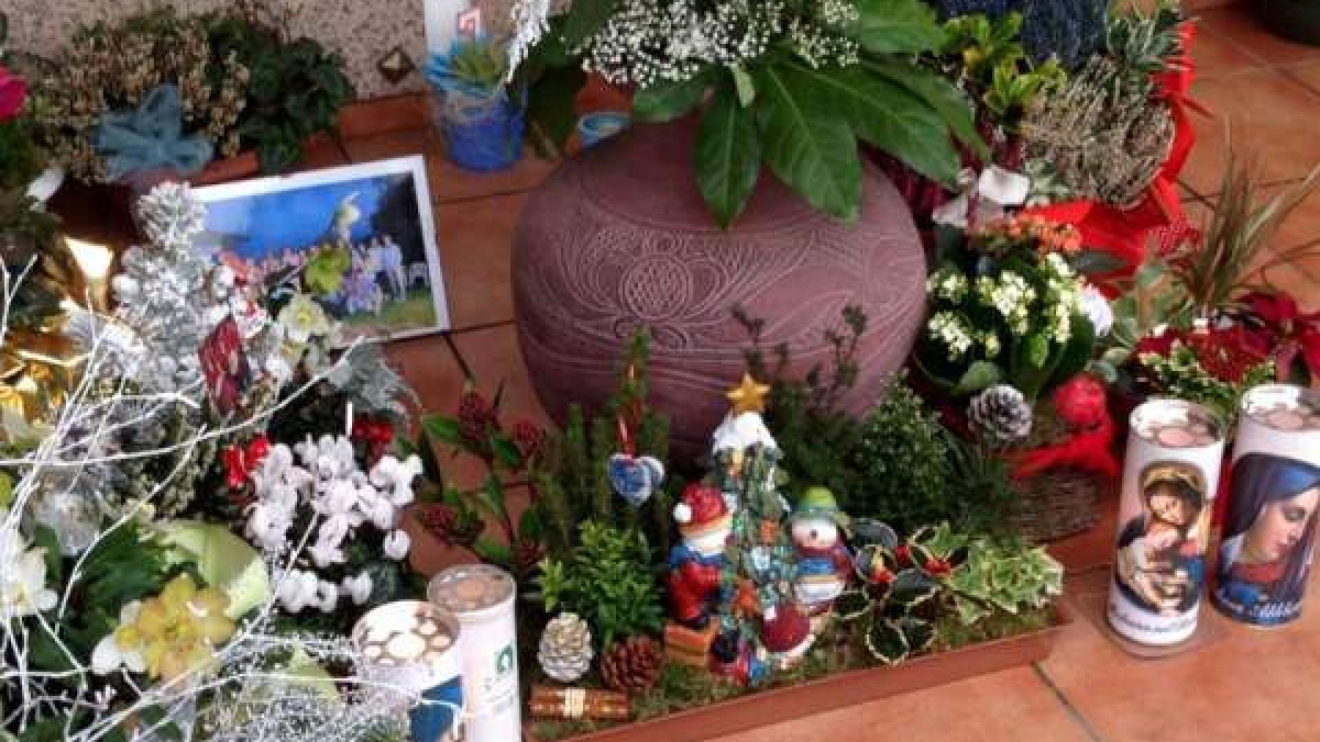 Furto sulla tomba di Nicola Zaffignani, decine di messaggi di solidarietà
