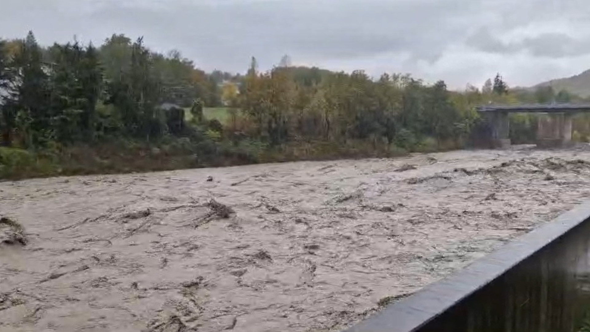 Piena del Nure, oltre la soglia di sicurezza a Farini e Ponte dell'Olio: i dati in tempo reale