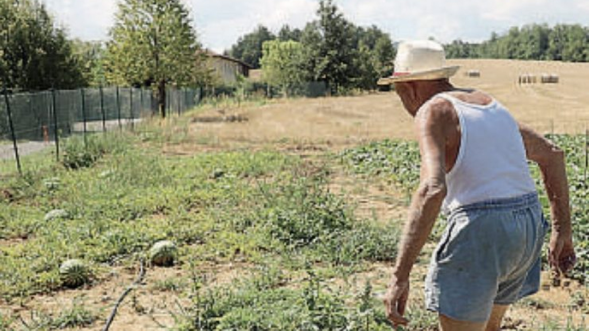 Pippo di Niviano, il cuore d’oro di chi vende i frutti della terra per il prossimo