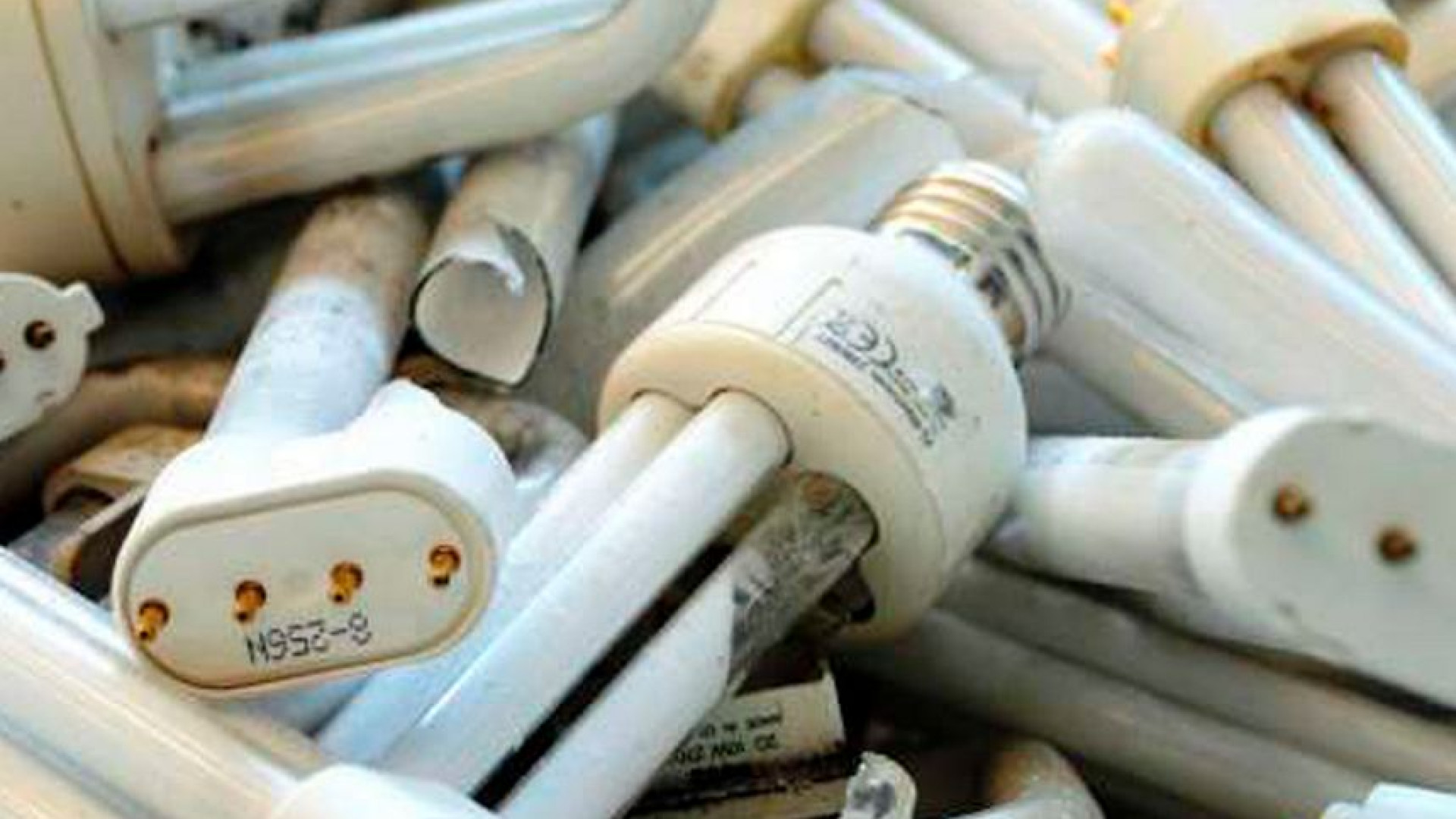 Raccolta lampade a basso consumo a fine vita, Piacenza non brilla