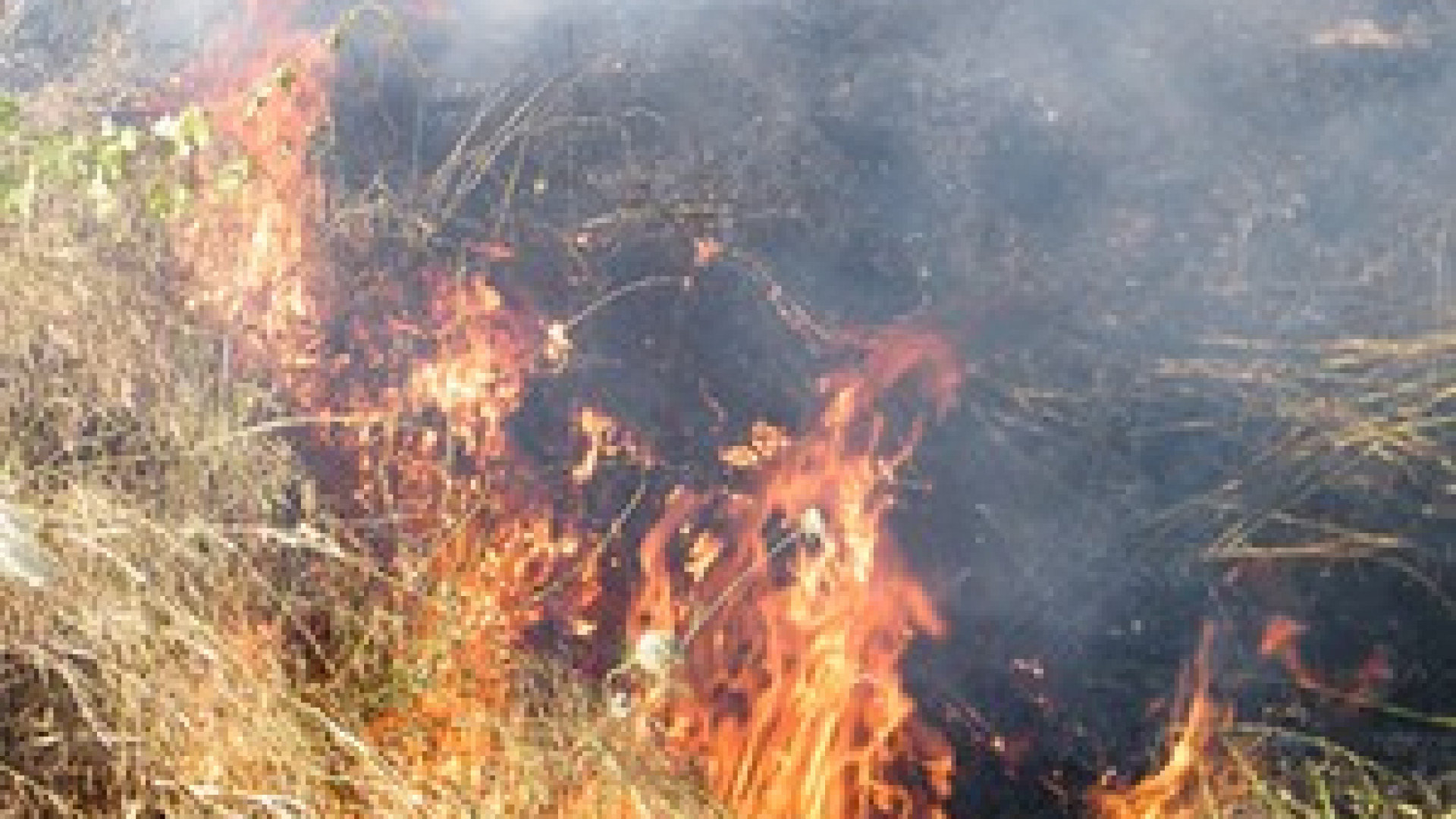 Incendio alla diga di Mignano, una condanna e un'assoluzione