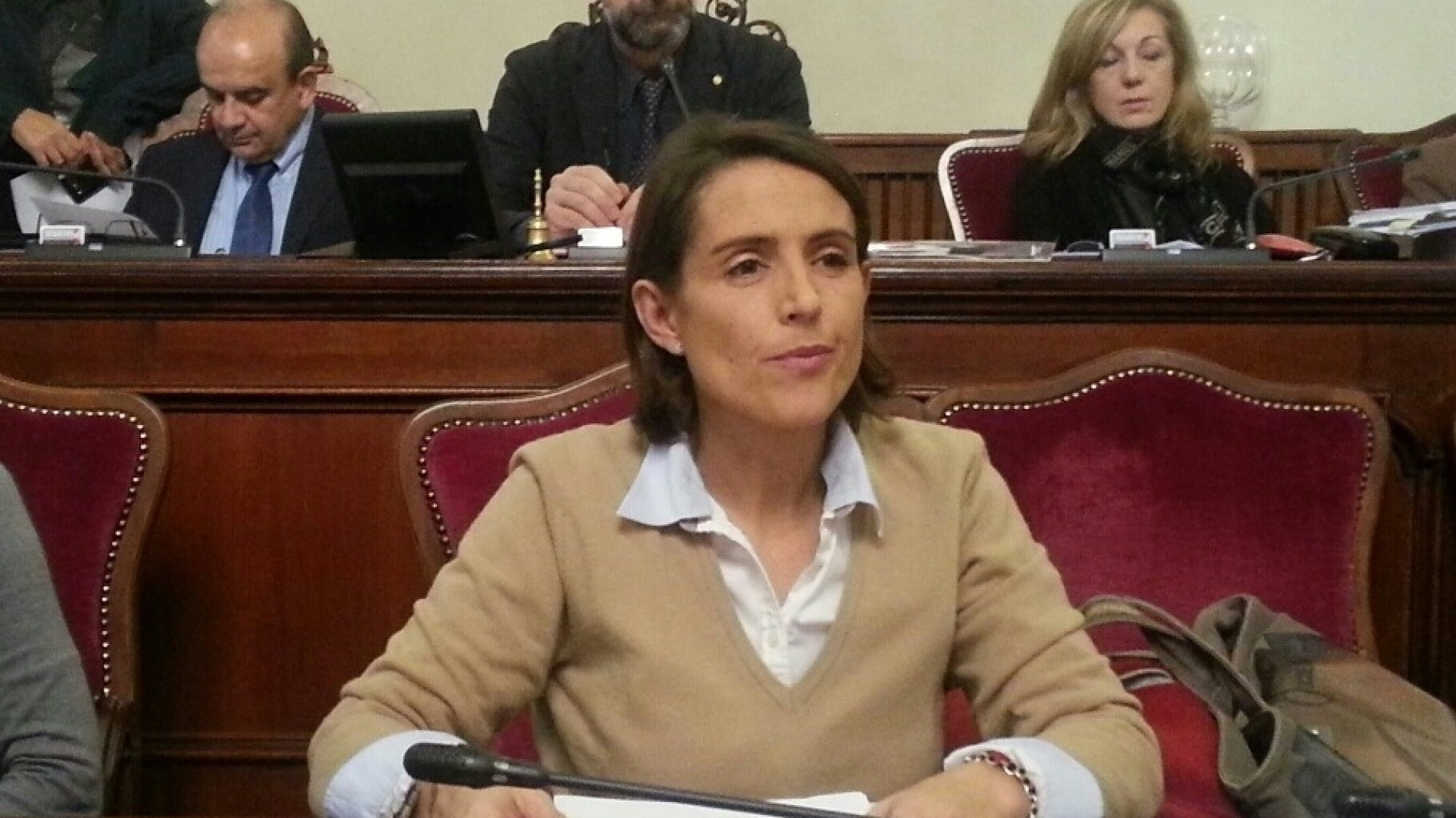 Sfiducia all'assessore Tarasconi: mozione bocciata in consiglio