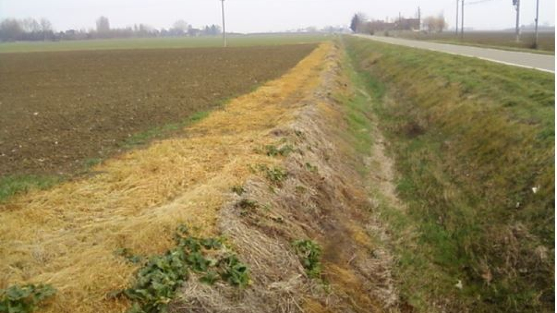 Dossier pesticidi, nell'Arda superati i limiti annuali anche nel 2017