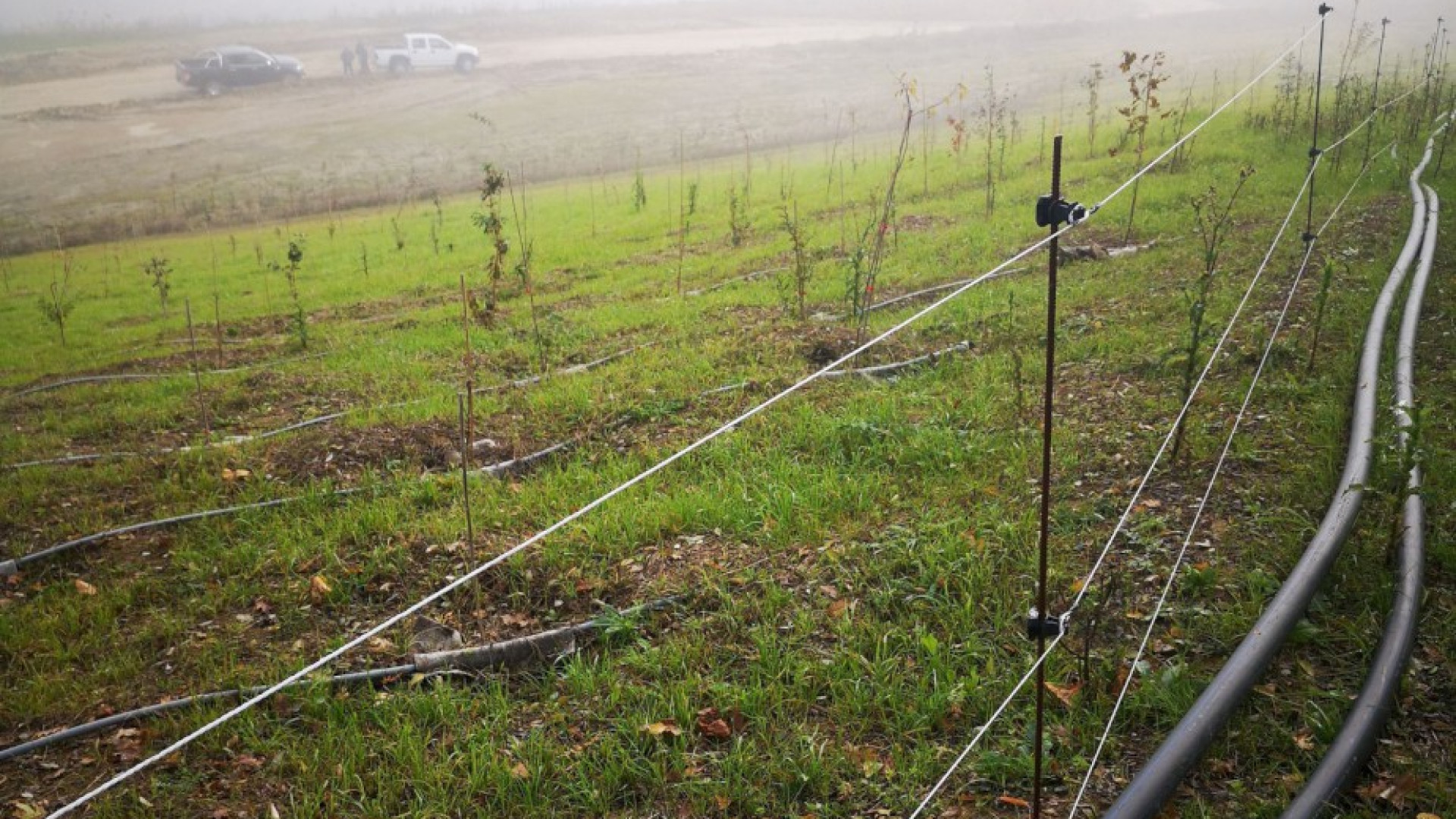Cava di Albarola, prosegue il ripristino ambientale: crescono gli alberi a dimora