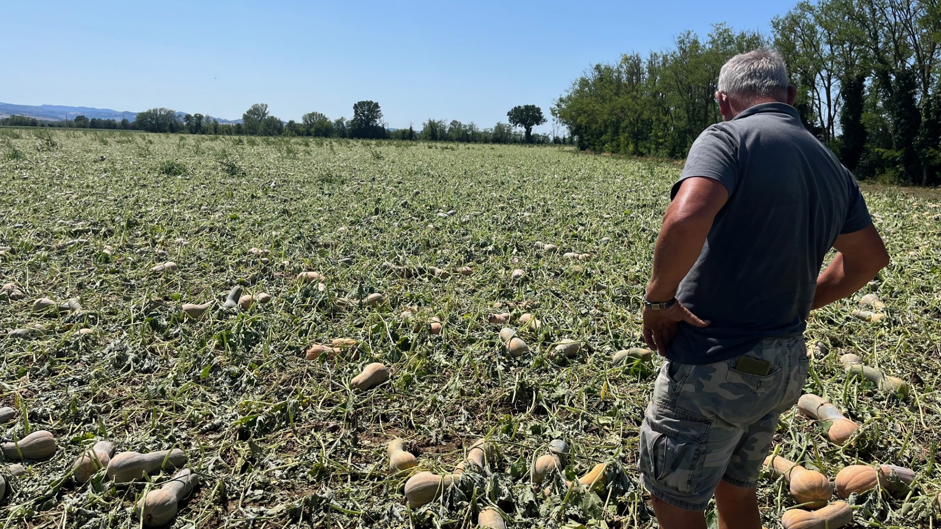 "Un anno buttato via da dieci minuti di tempesta". L'amarezza degli agricoltori