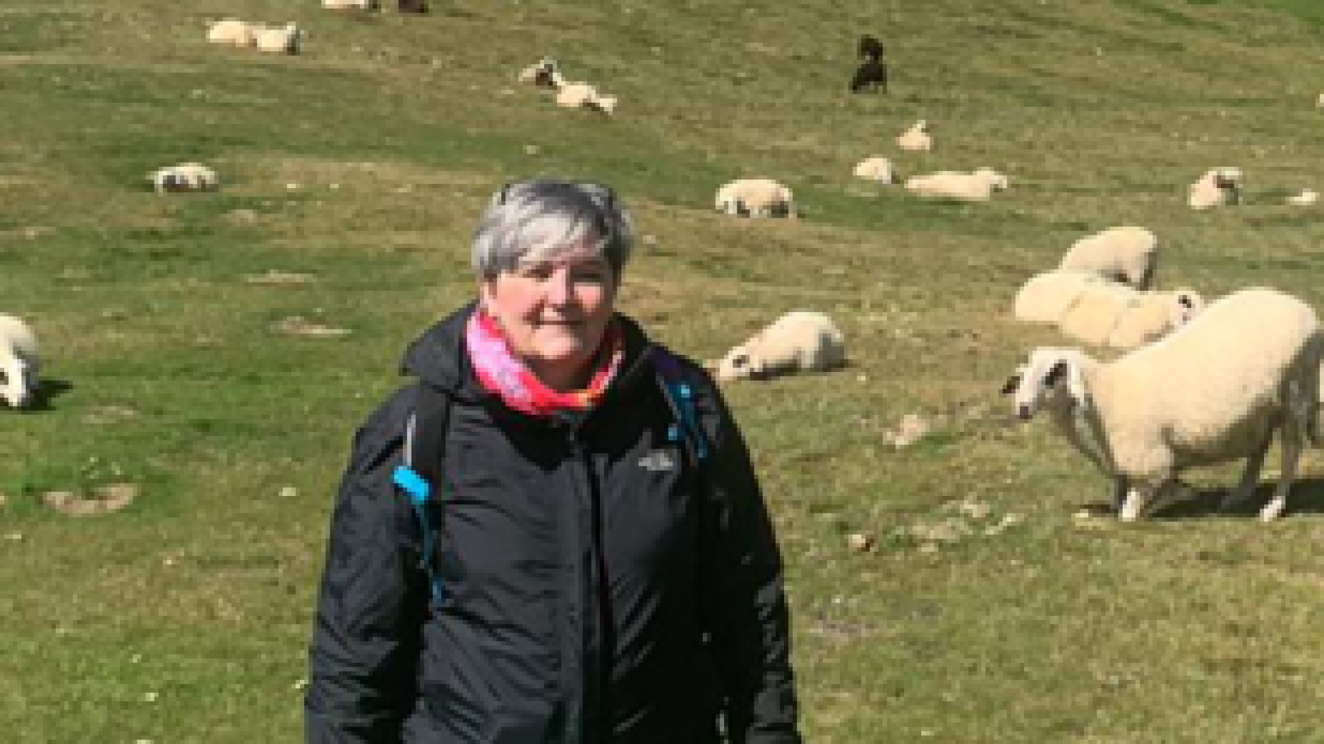 Alessandra "adotta" 200 abeti: "Così festeggio i trent'anni di carriera"