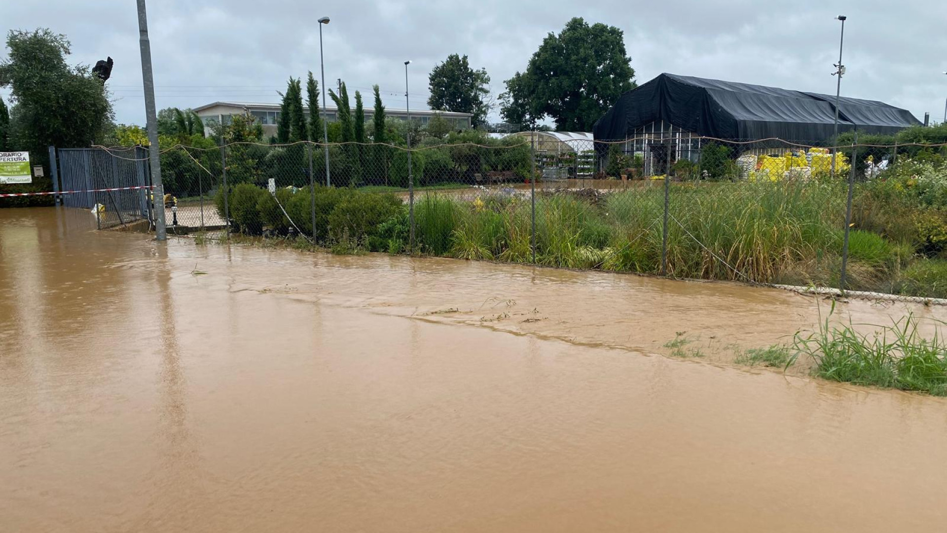 Bombe d'acqua ed esondazioni: strade, ristoranti e vivai allagati
