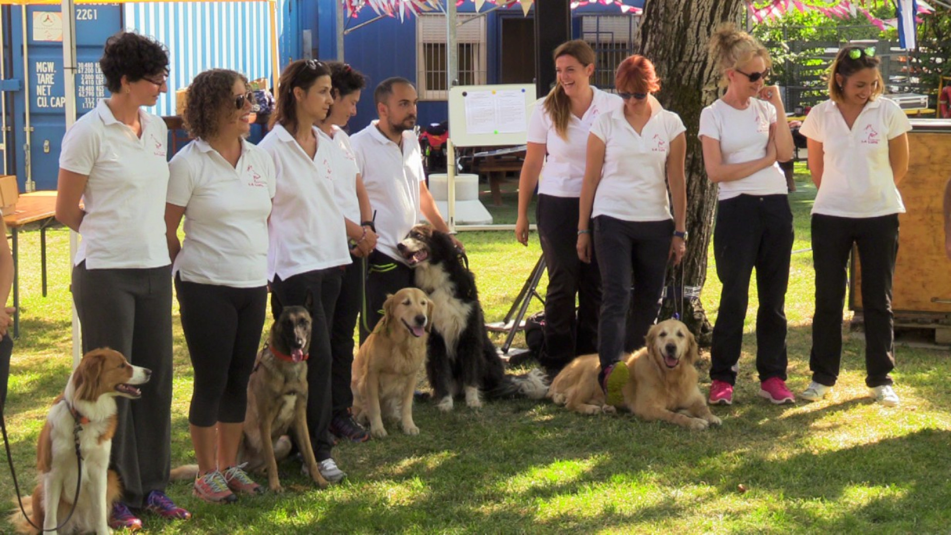 Dall'obedience alla dog dance, successo per  “Quattro zampe in azione”