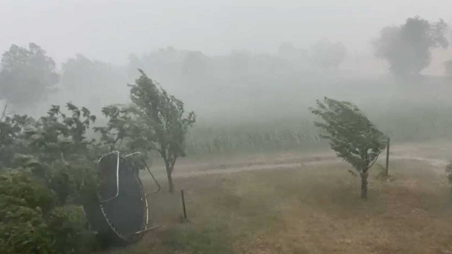 Allerta meteo, in arrivo vento e piogga. Rischio gelicidio in montagna