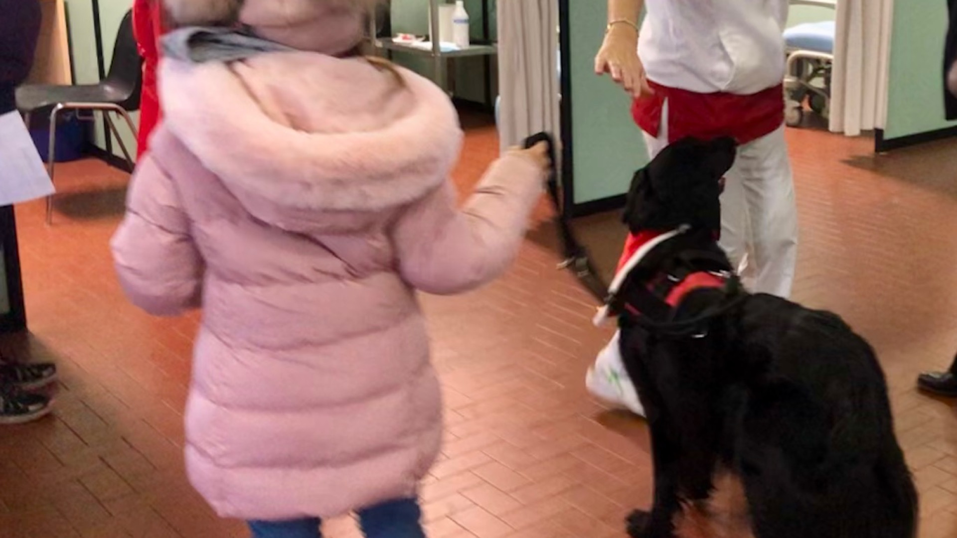 Niente paura per il vaccino: bimbi accompagnati dai cani. "Ma ancora scarsa adesione"