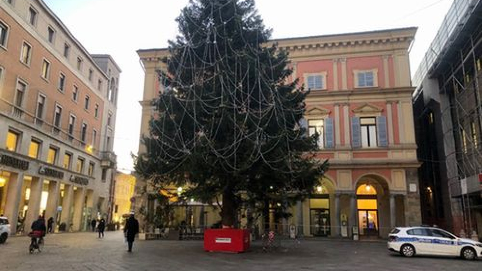 L'albero di Natale è quasi pronto: domani l'accensione in piazza Cavalli