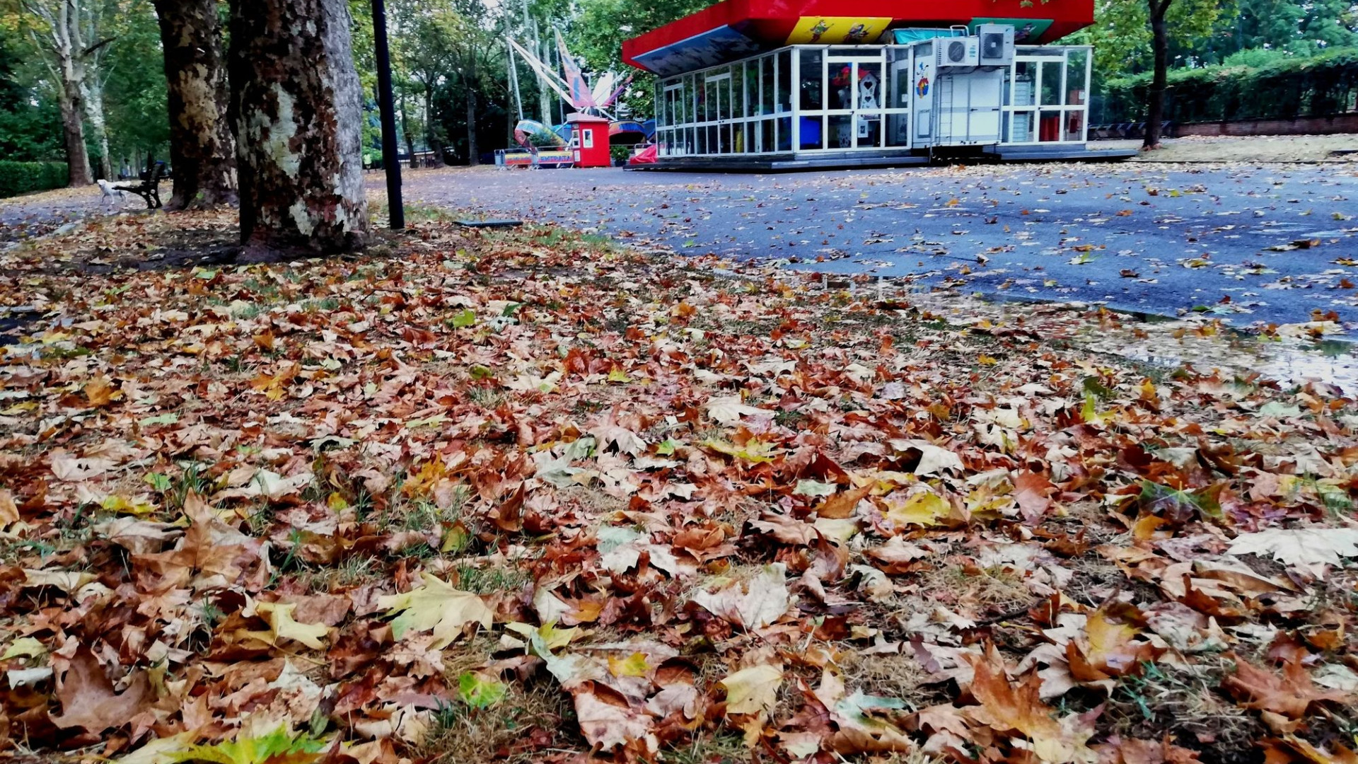 Temporali intensi anche nella la giornata di domani, fiumi e torrenti sotto osservazione
