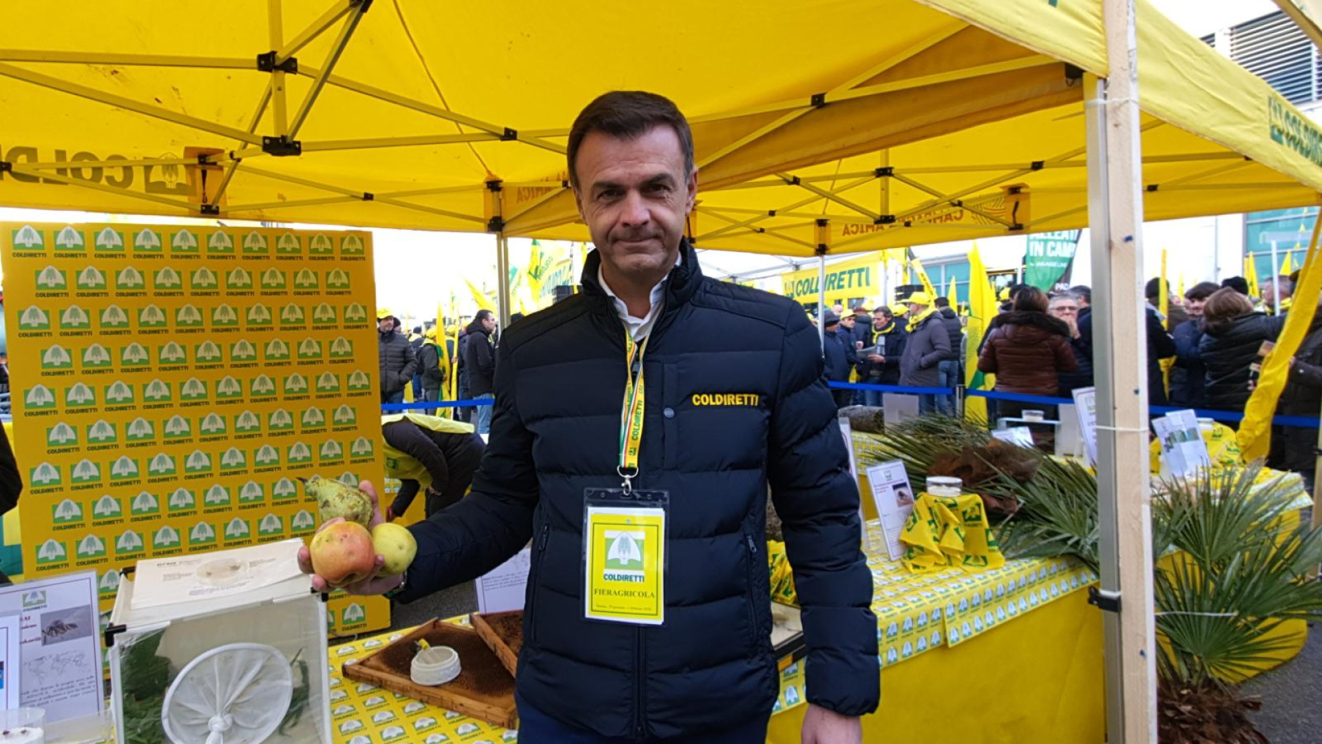 Contro la cimice asiatica arriva la vespa samurai per salvare i raccolti