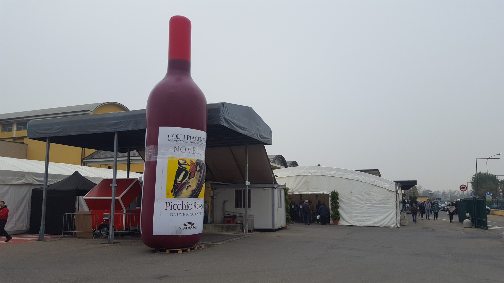 Il 20 agosto parte la vendemmia, la Cantina Valtidone 80esima in Italia