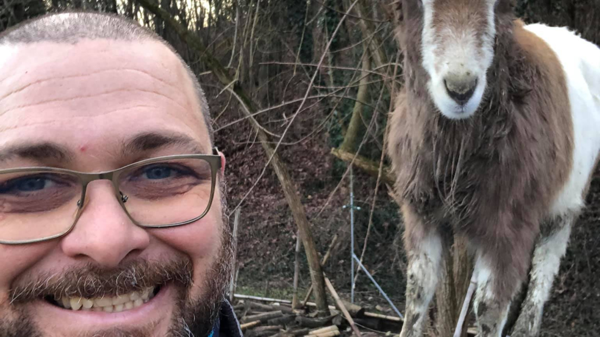 Addio lavoro d'ufficio, ecco la nuova vita da agricoltore di Dario Sicuro