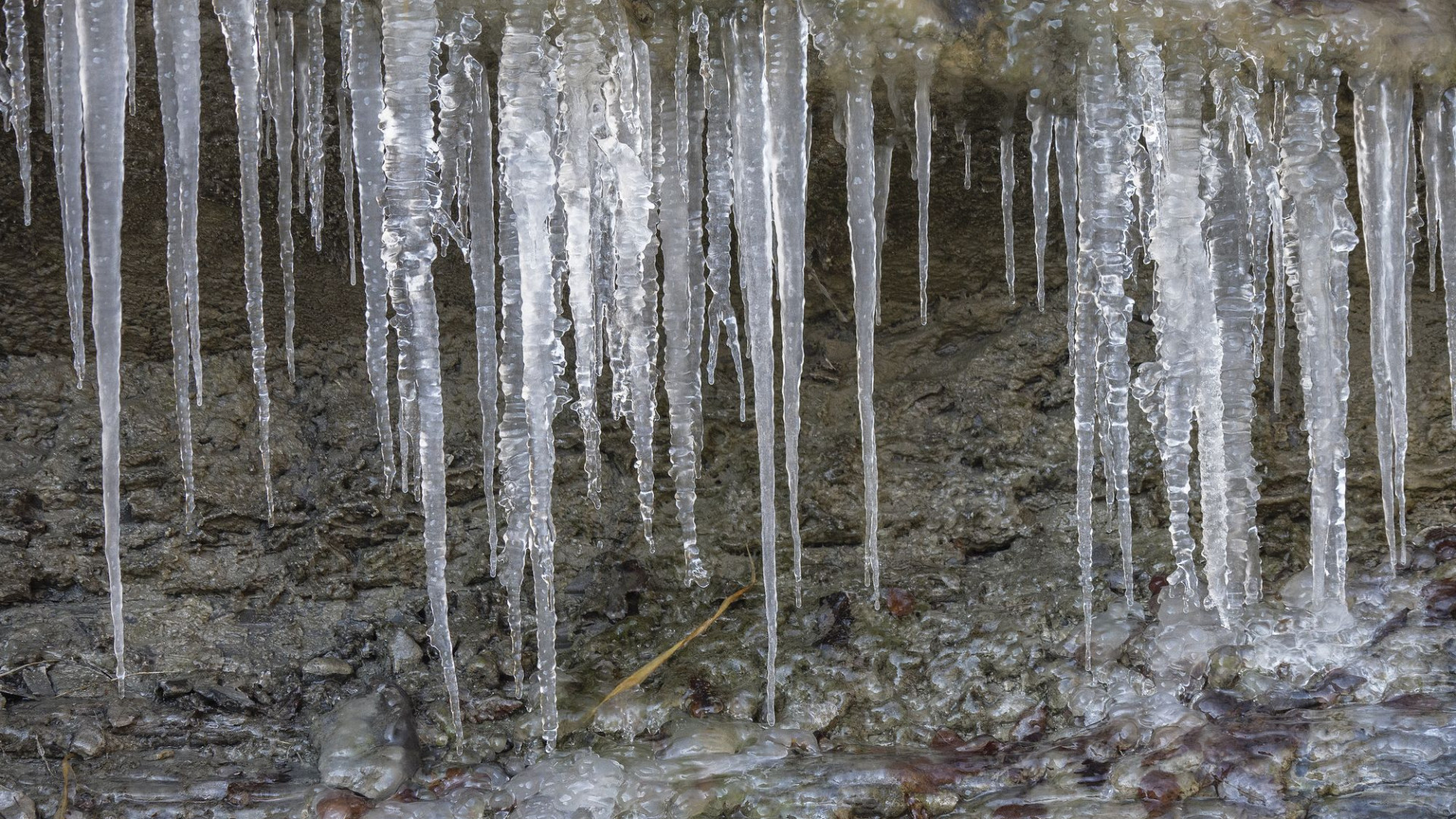 Gelo in Val Trebbia, ecco le stalattiti di ghiaccio alle cascate del Carlone