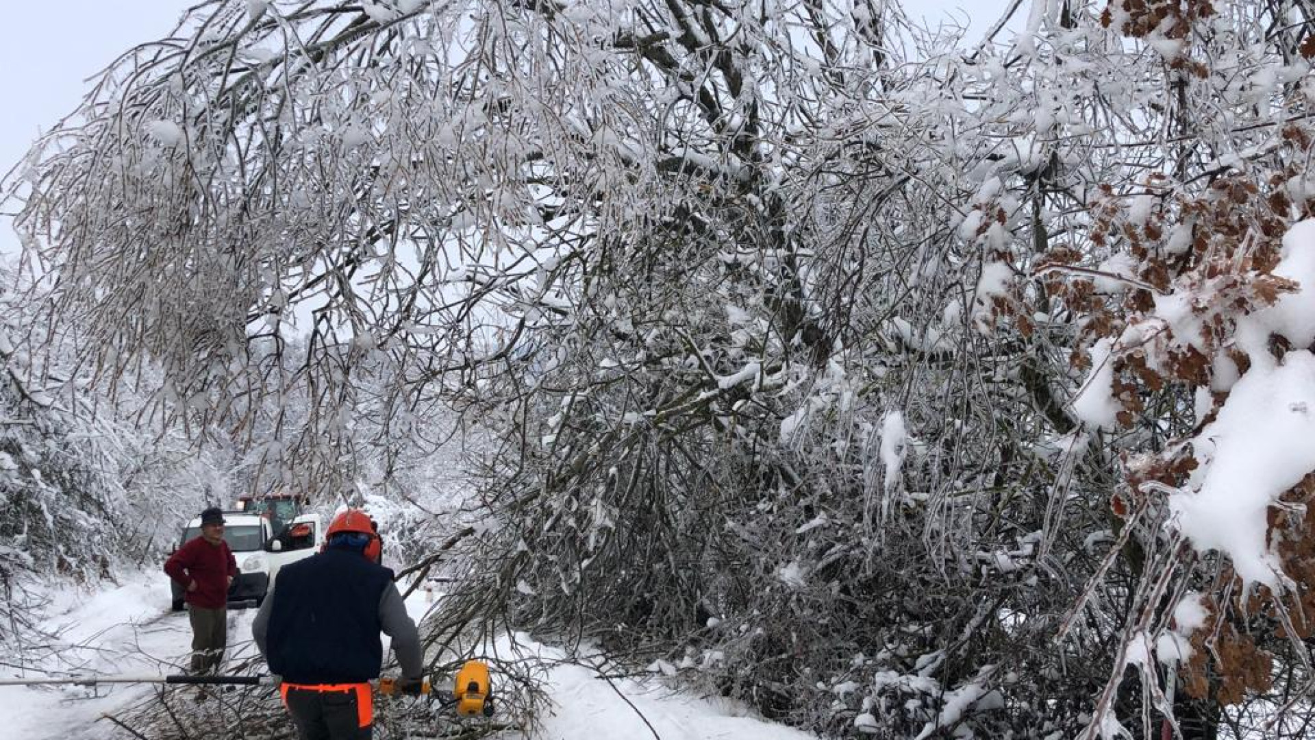 Passata l'ondata di maltempo, prosegue la conta dei danni. Le dighe raccolgono acqua. Frana a Ciregna