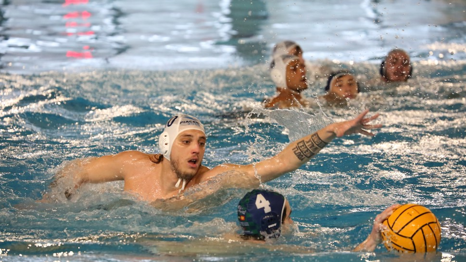 Piacenza Pallanuoto, la prima vittoria in Serie B arriva contro Chiavari