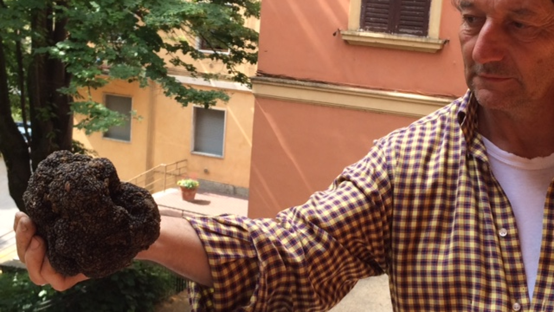Balù e "il Cacio" coppia vincente: trovato tartufo di quasi un chilo