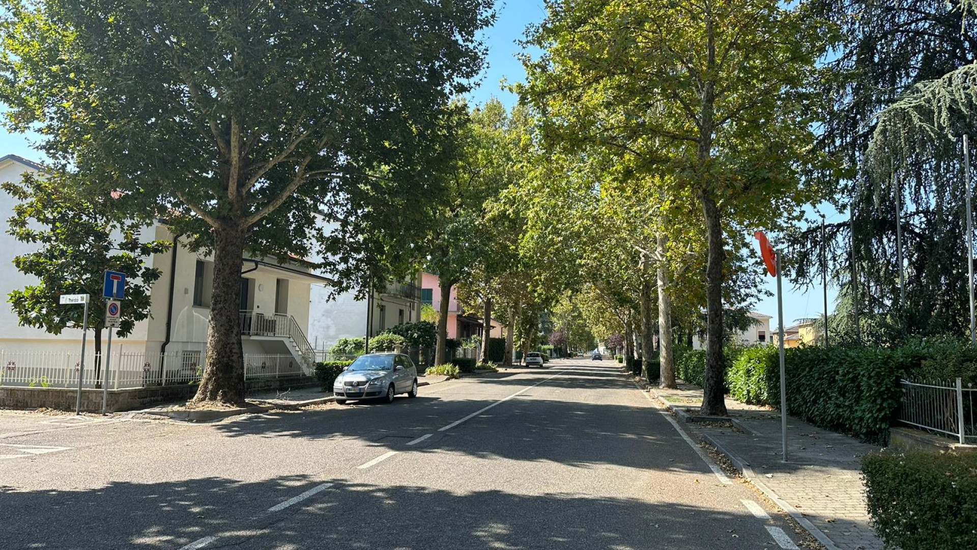 Pontenure, segnalati alberi pericolanti. Sindaco: "Presto abbattimento e sostituzione"
