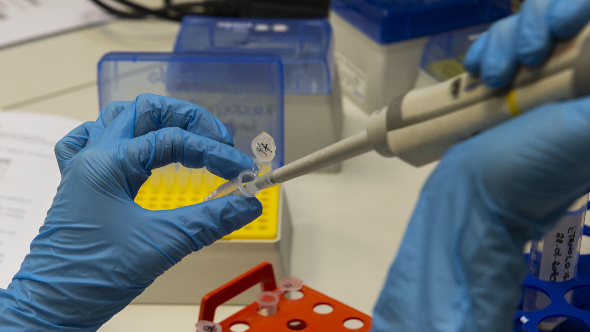Il Primario Codeluppi: "Così curiamo i pazienti affetti da Coronavirus"